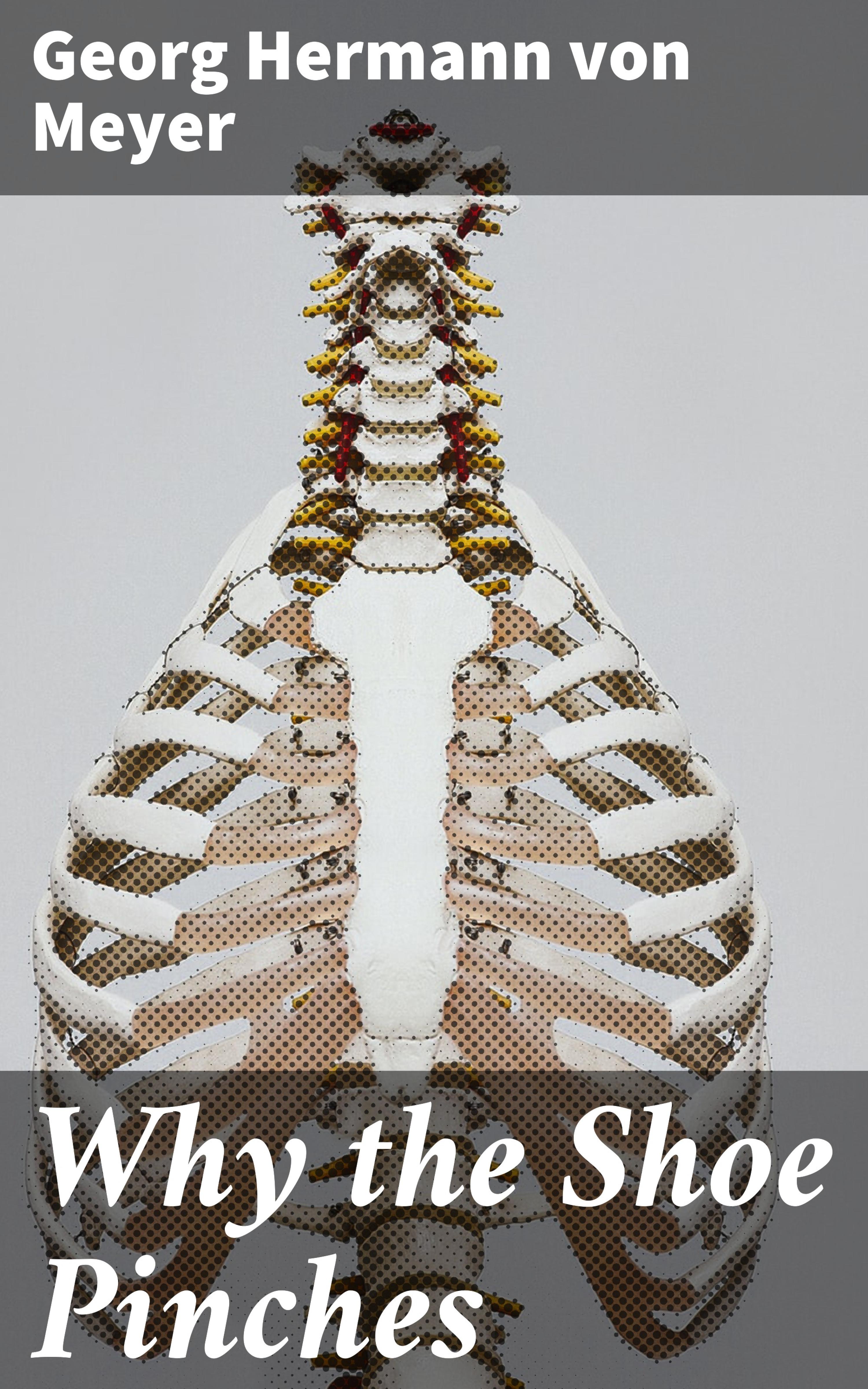Обложка книги «Why the Shoe Pinches»