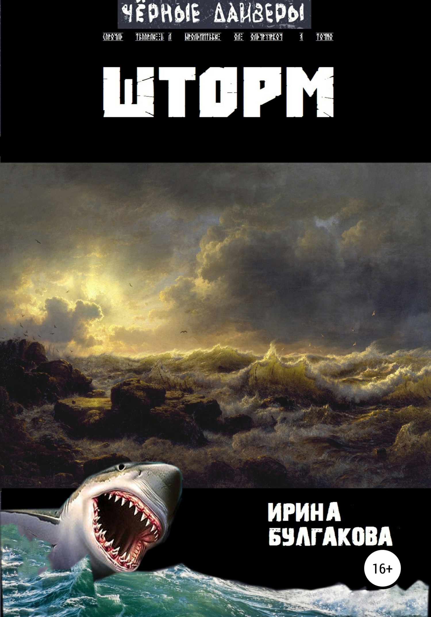 Обложка книги «Шторм»