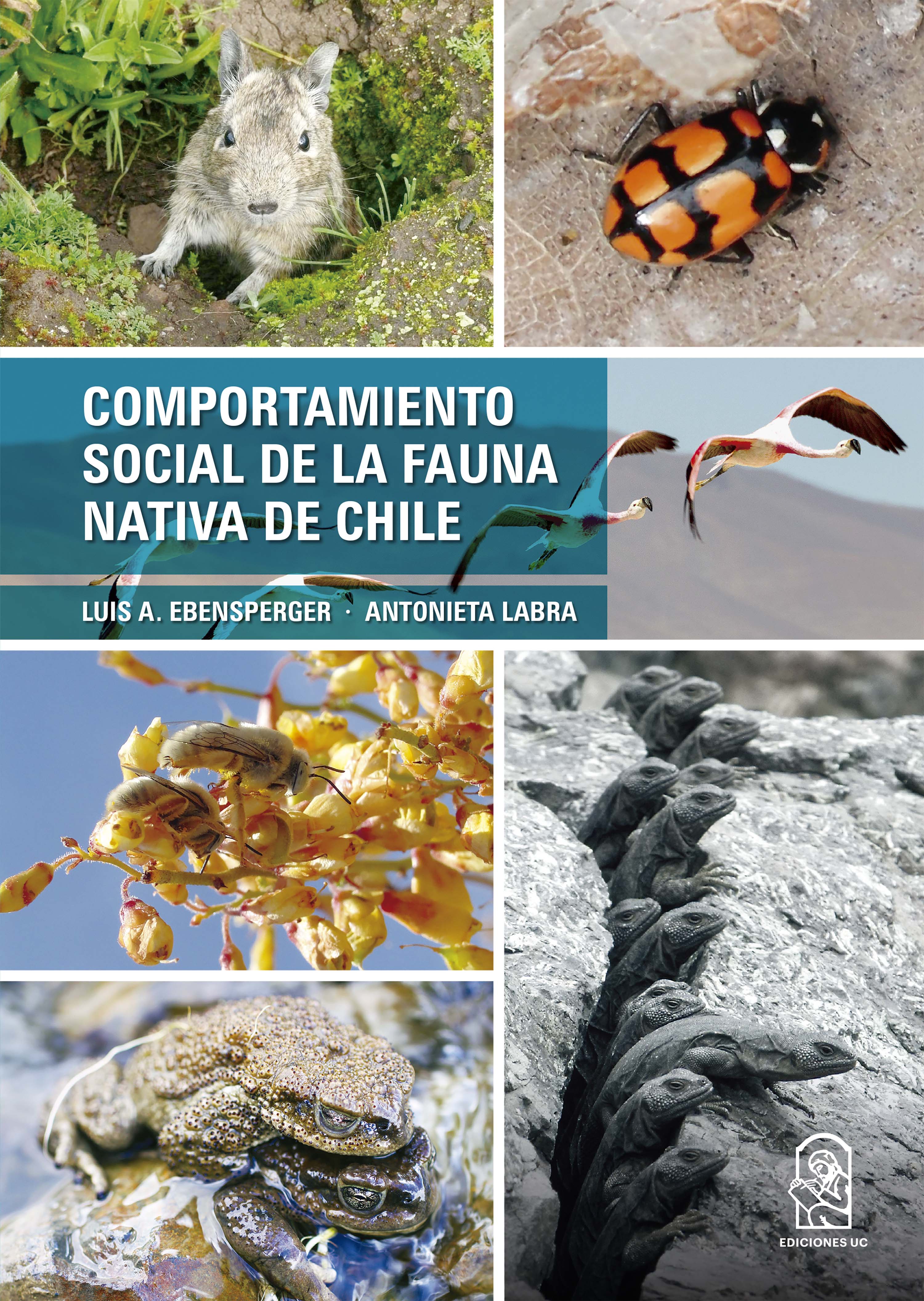 Обложка книги «Comportamiento social de la fauna nativa de Chile»
