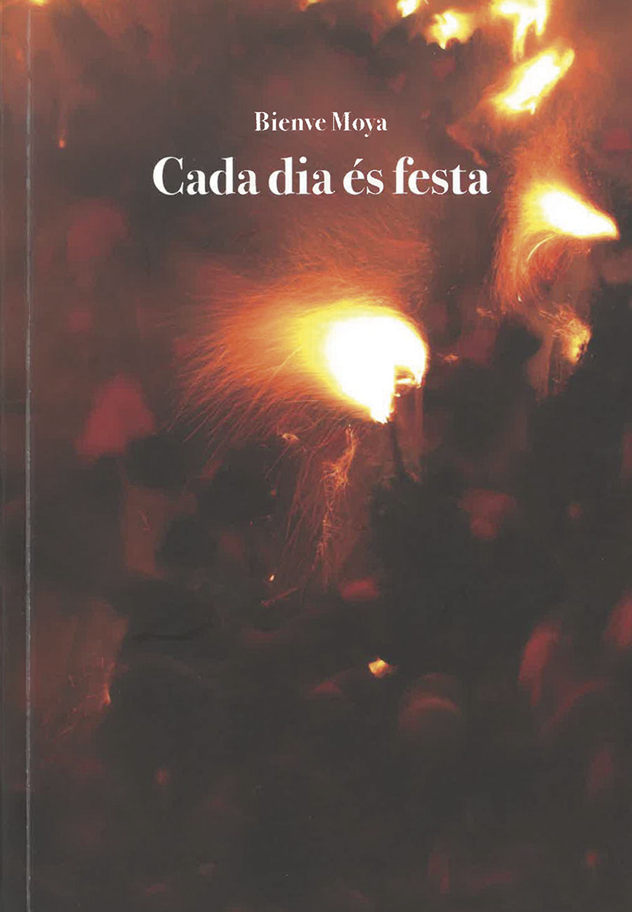 Обложка книги «Cada dia és festa»