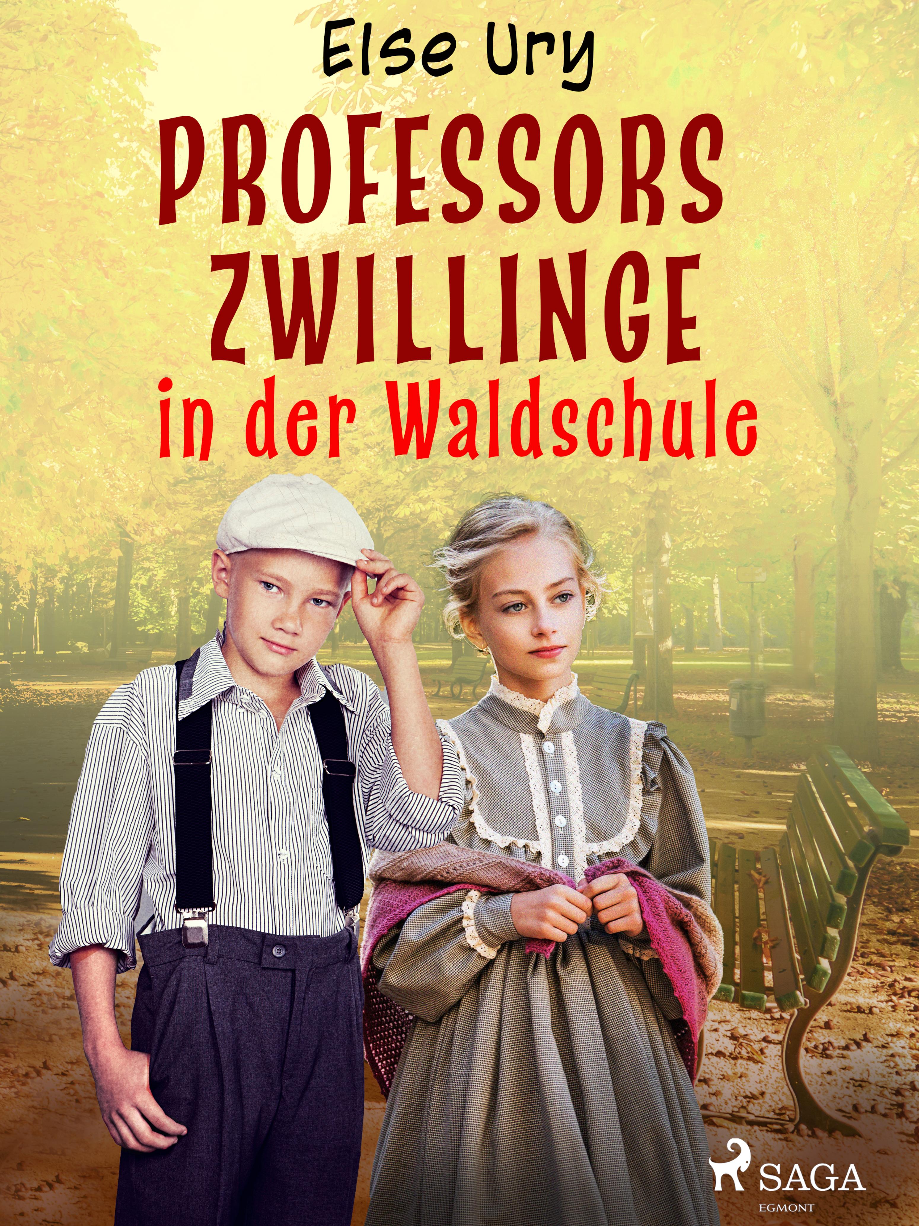 Обложка книги «Professors Zwillinge in der Waldschule»
