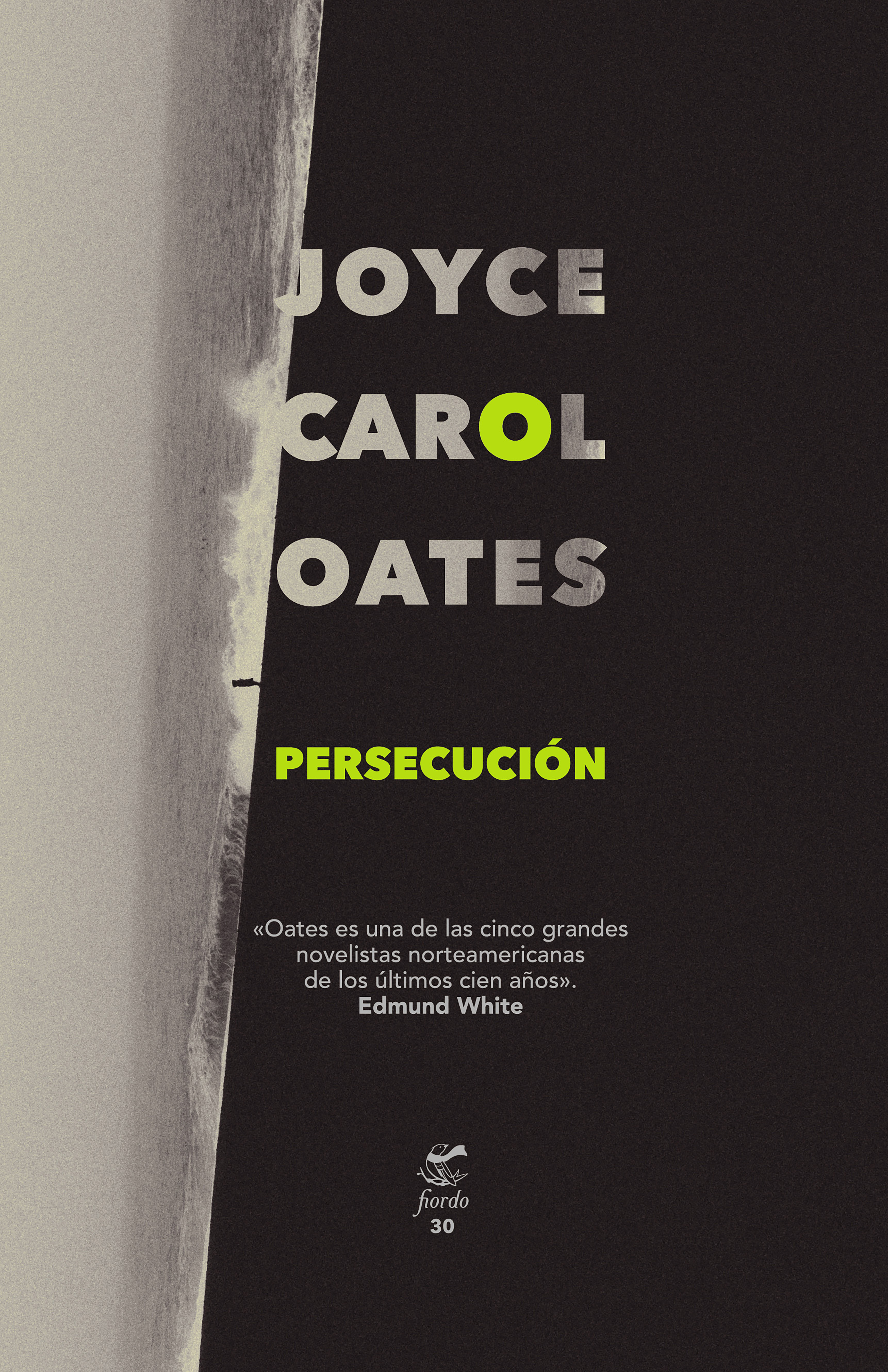 Обложка книги «Persecución»