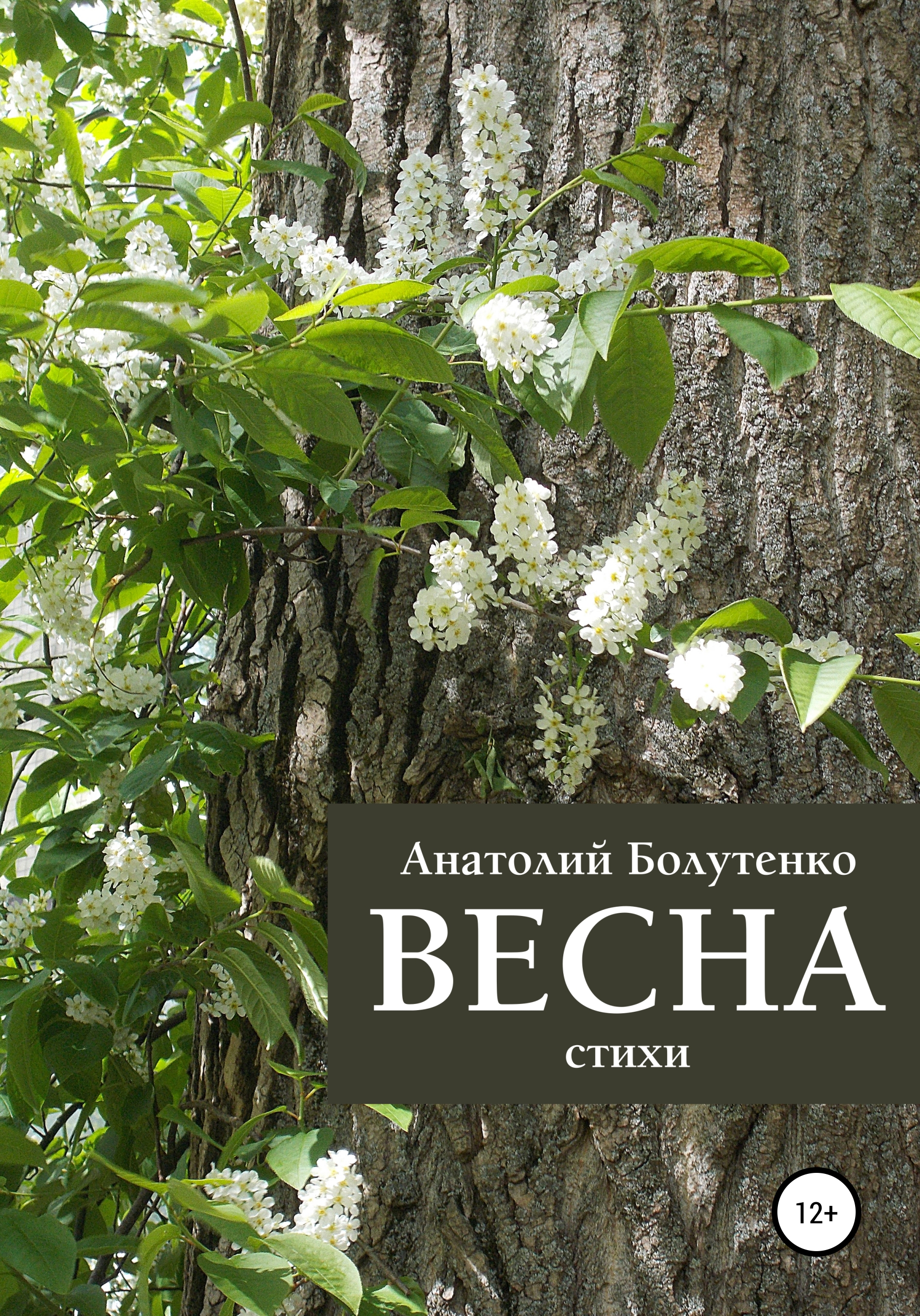 Обложка книги «Весна»
