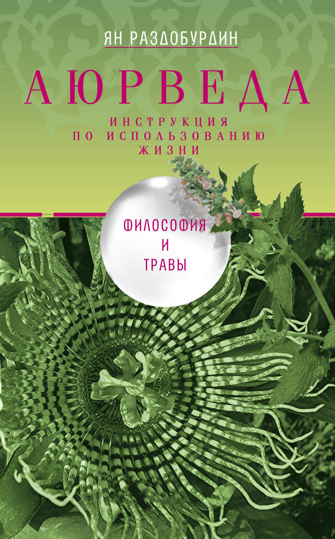Обложка книги «Аюрведа. Философия и травы»