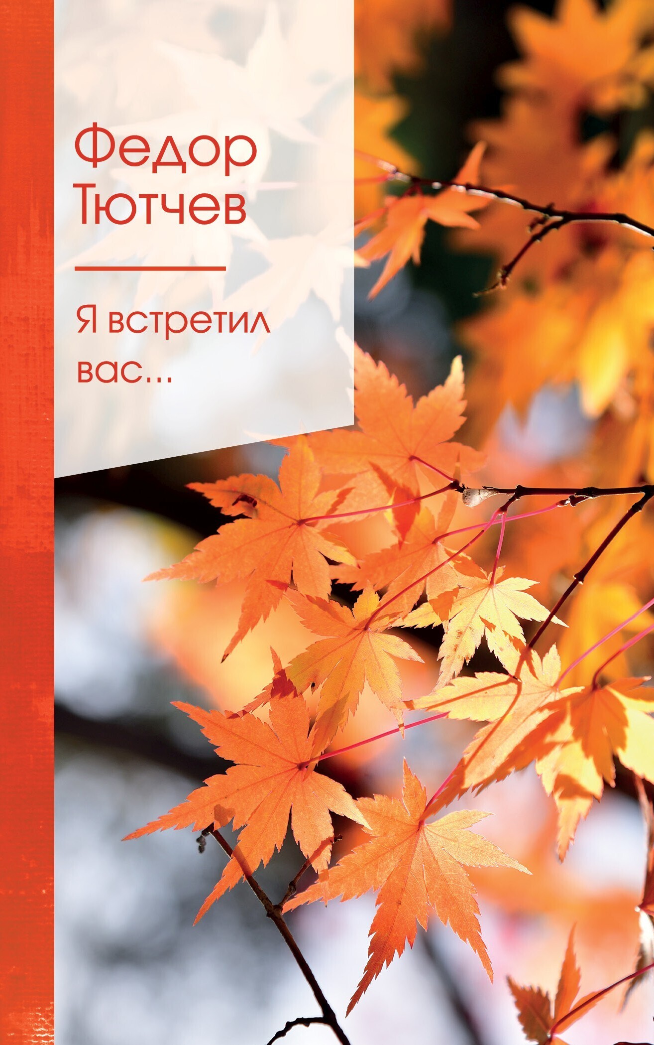 Обложка книги «Я встретил вас…»
