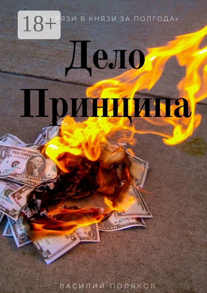 Обложка книги «Дело Принципа»