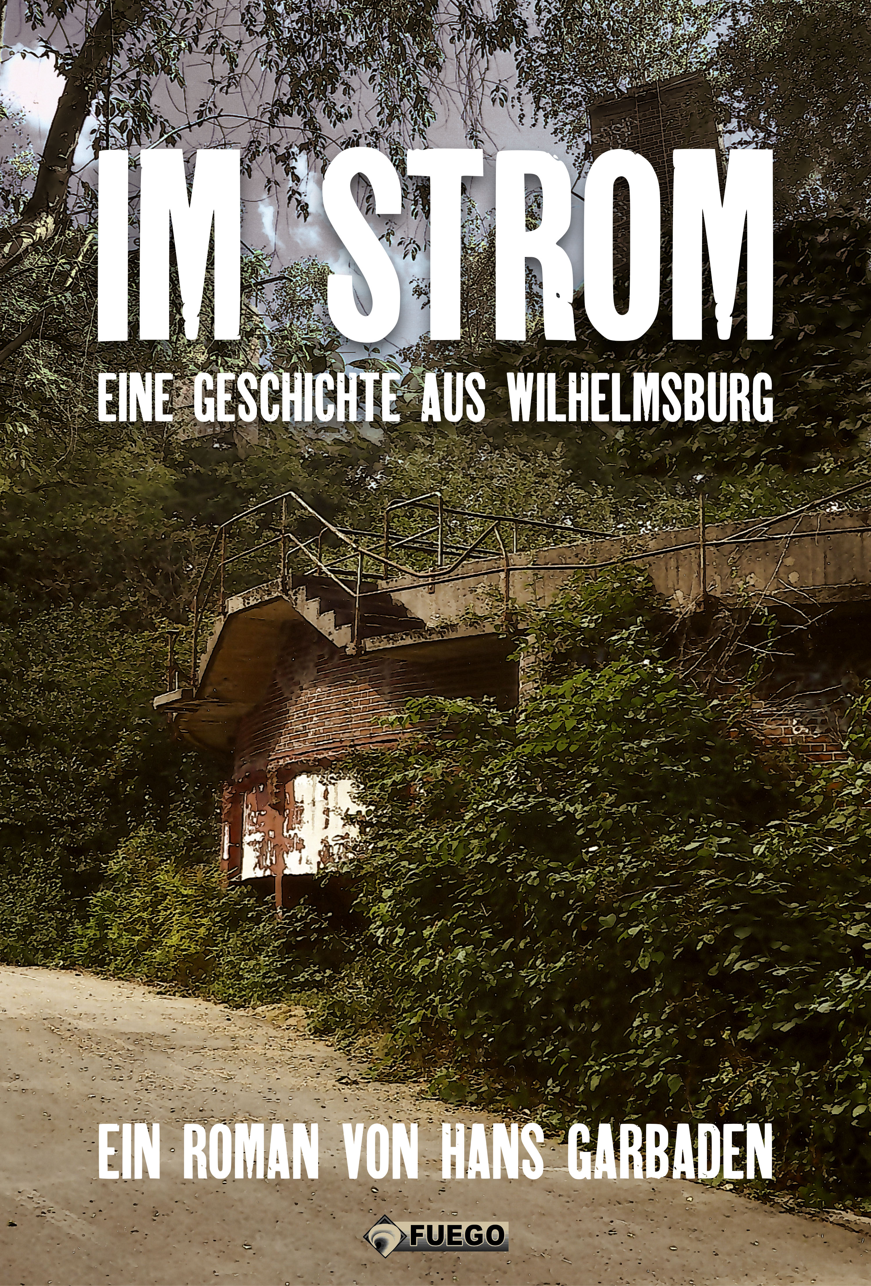 Обложка книги «Im Strom»