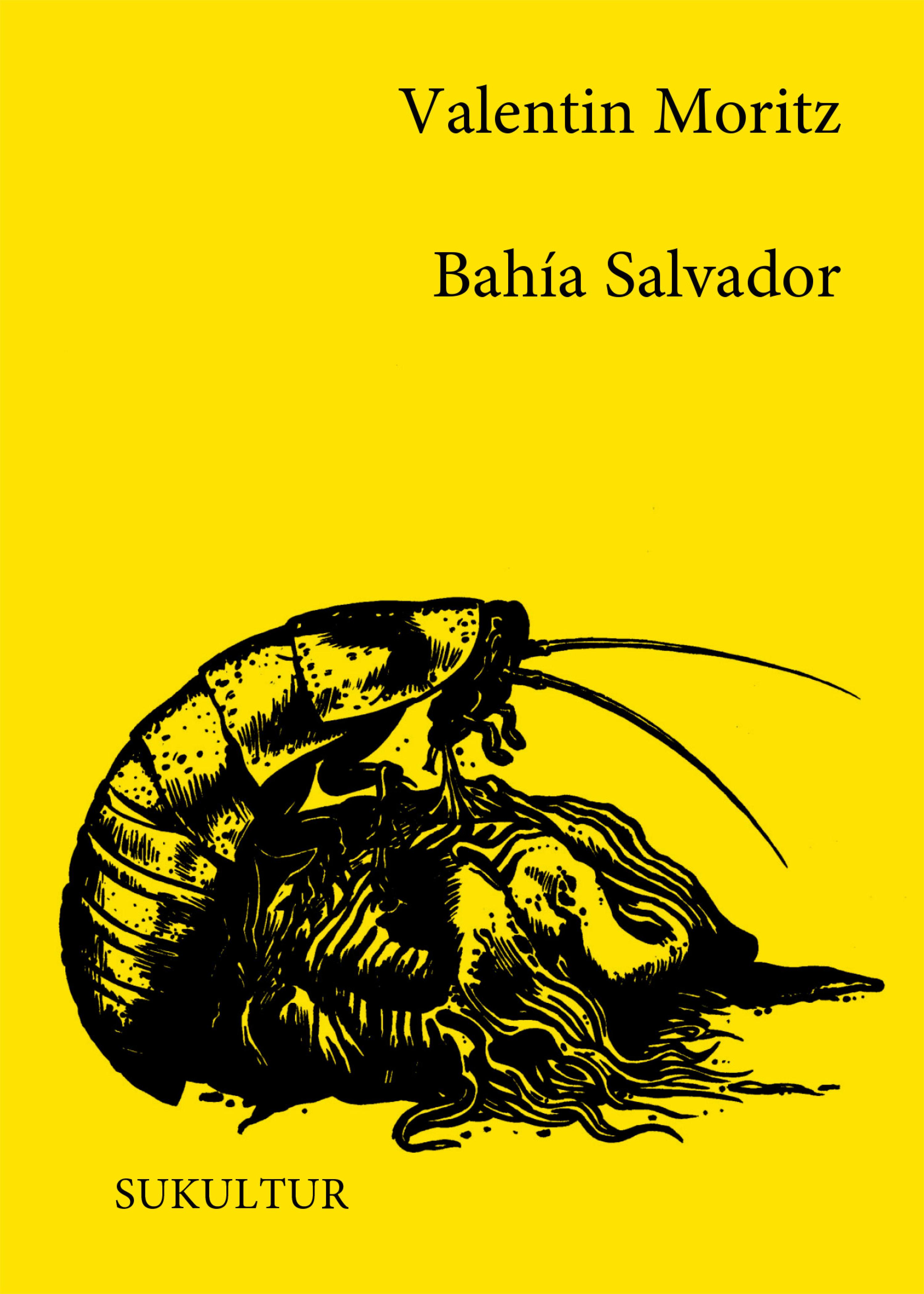 Обложка книги «Bahía Salvador»