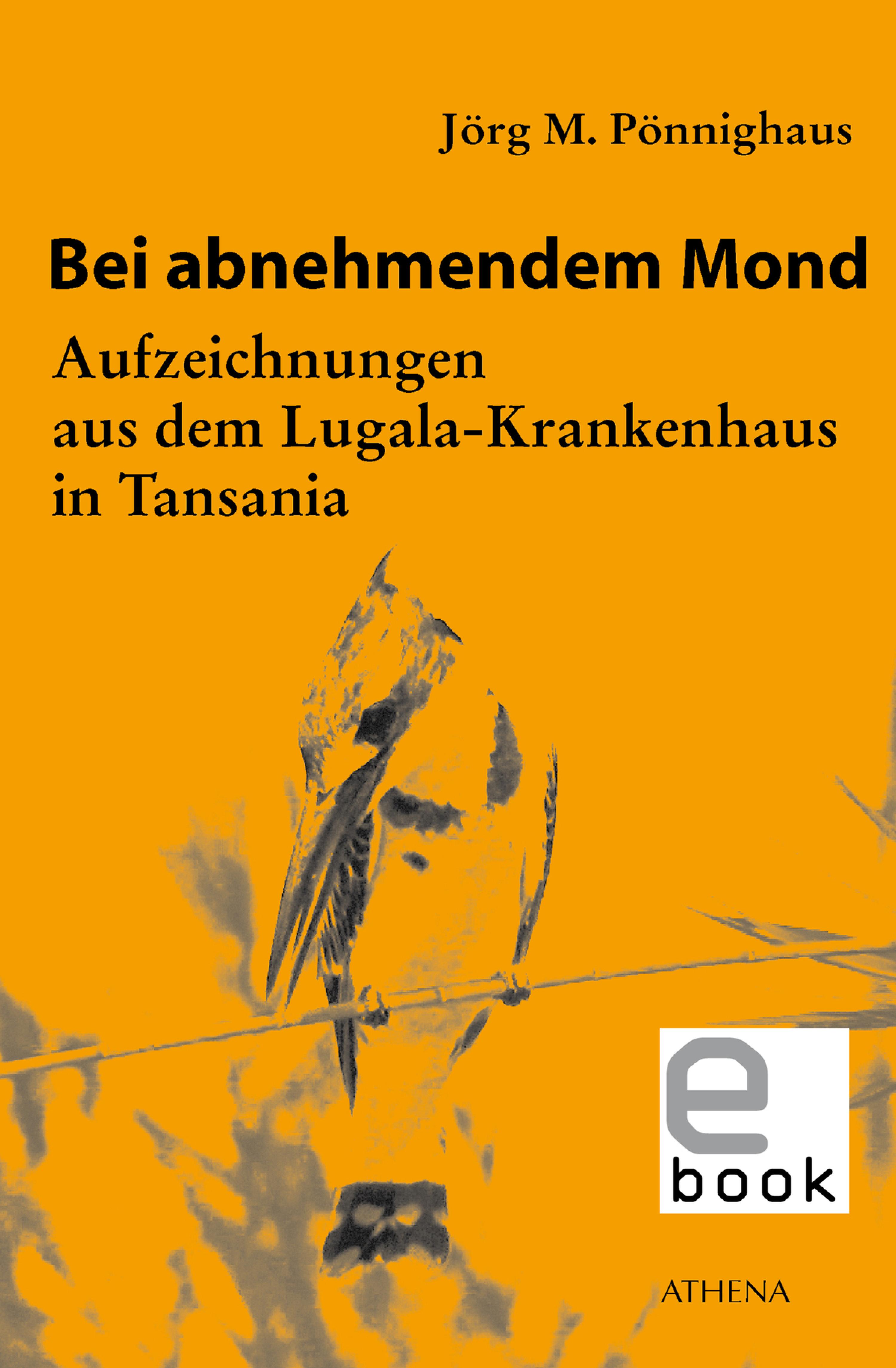 Обложка книги «Bei abnehmendem Mond»