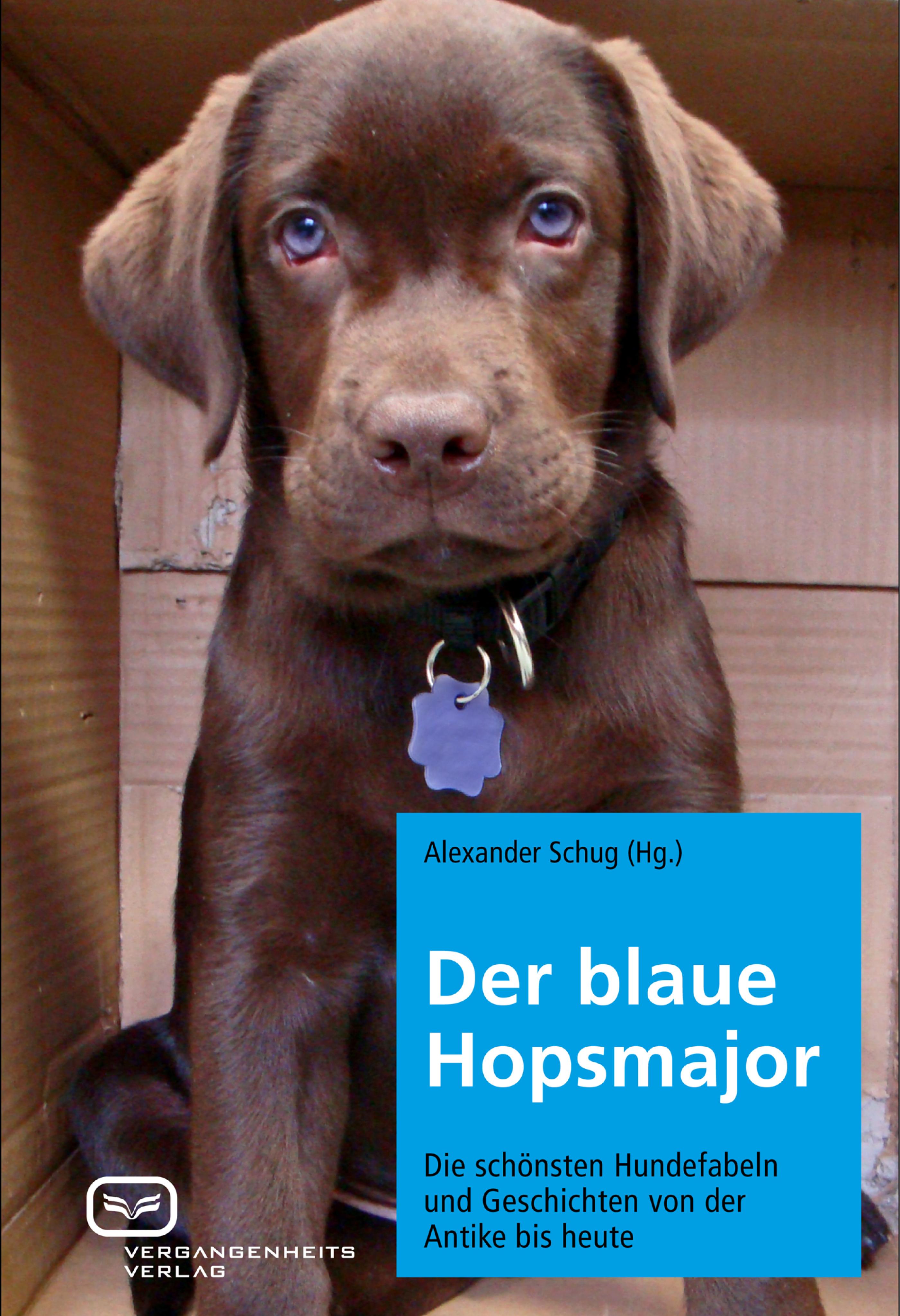 Обложка книги «Der blaue Hopsmajor»