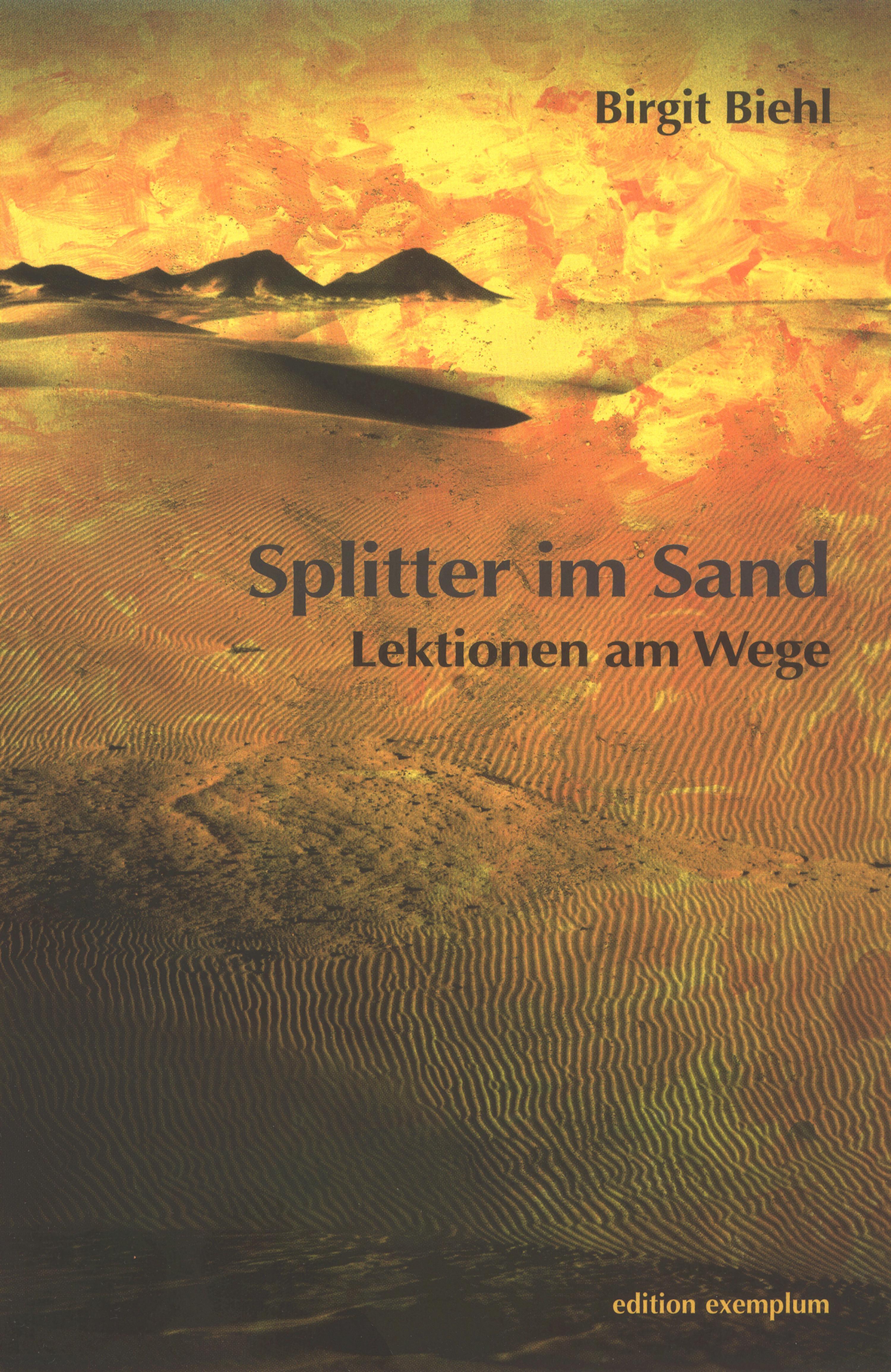 Обложка книги «Splitter im Sand»