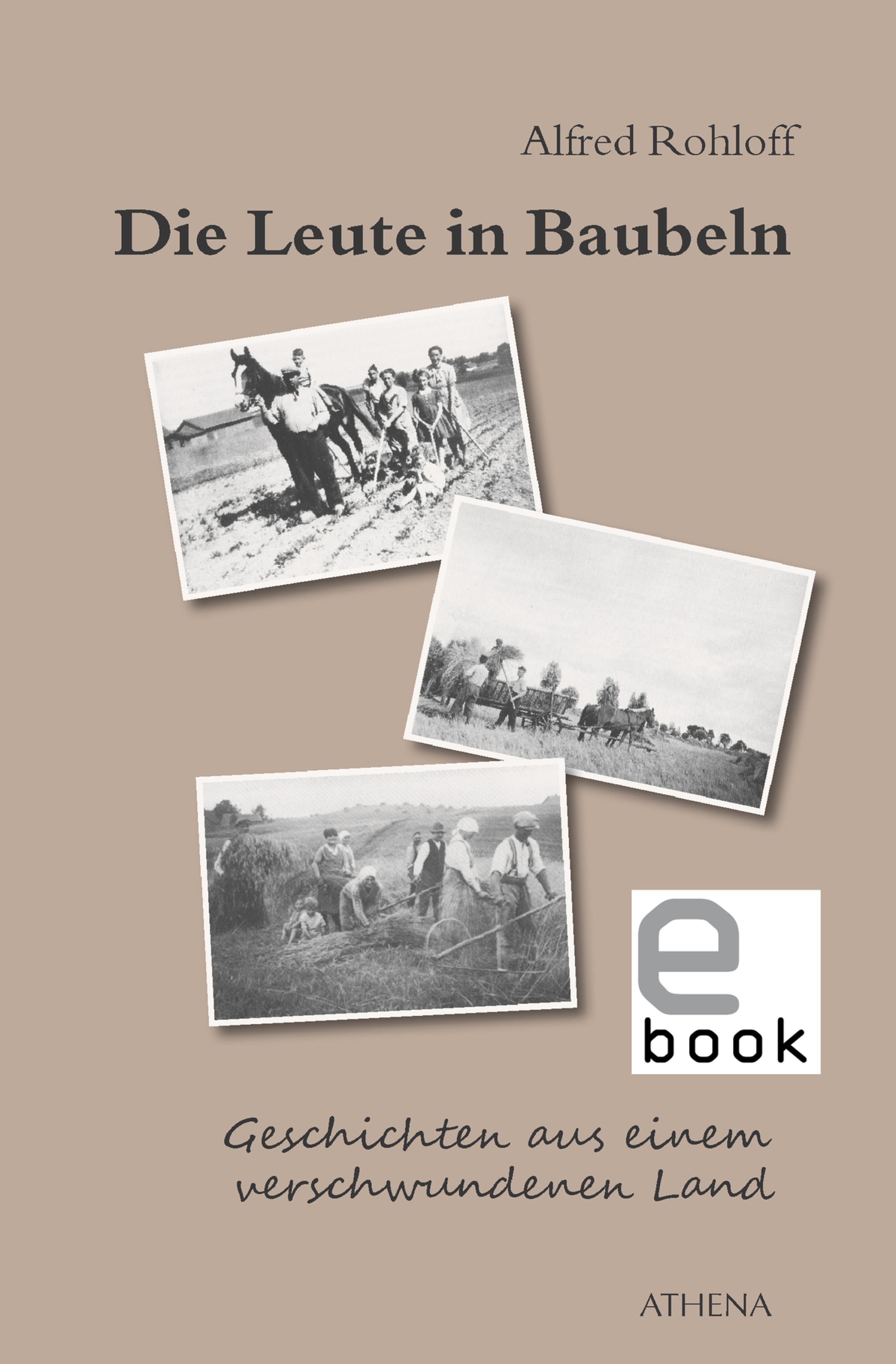 Обложка книги «Die Leute in Baubeln»