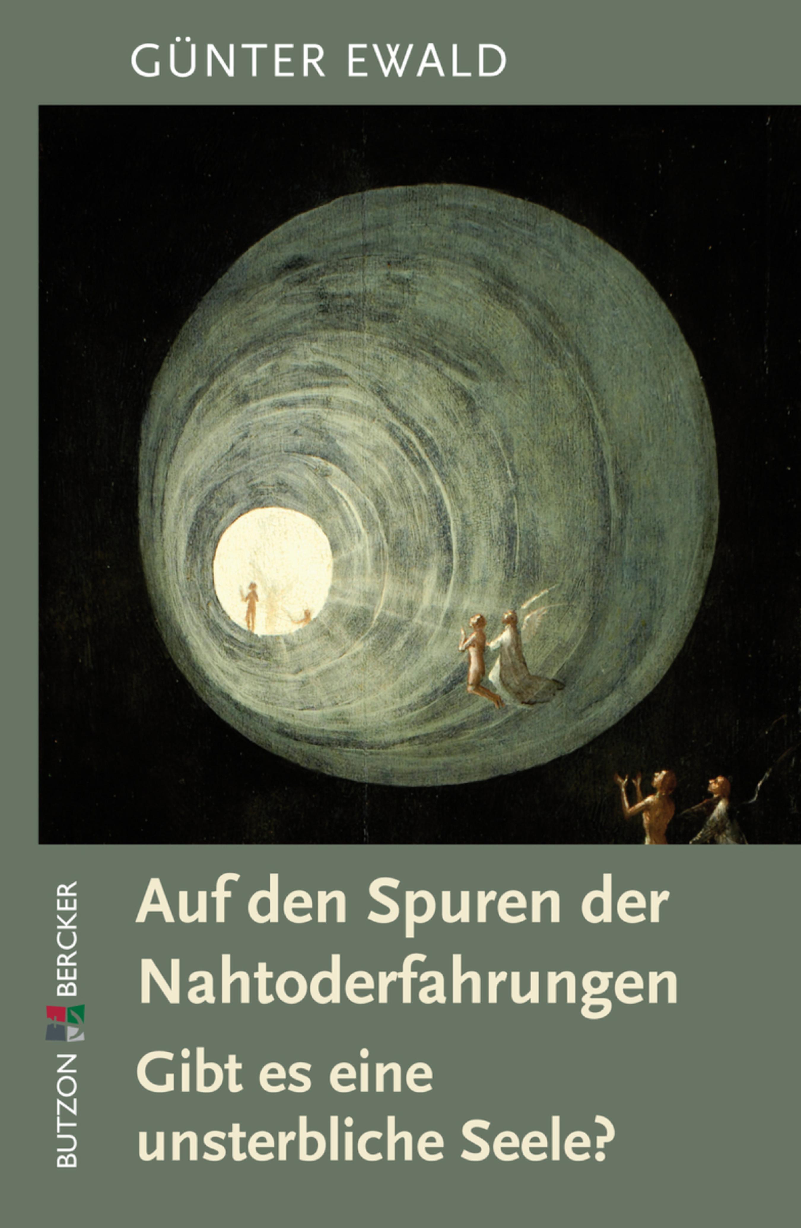 Обложка книги «Auf den Spuren der Nahtoderfahrungen»