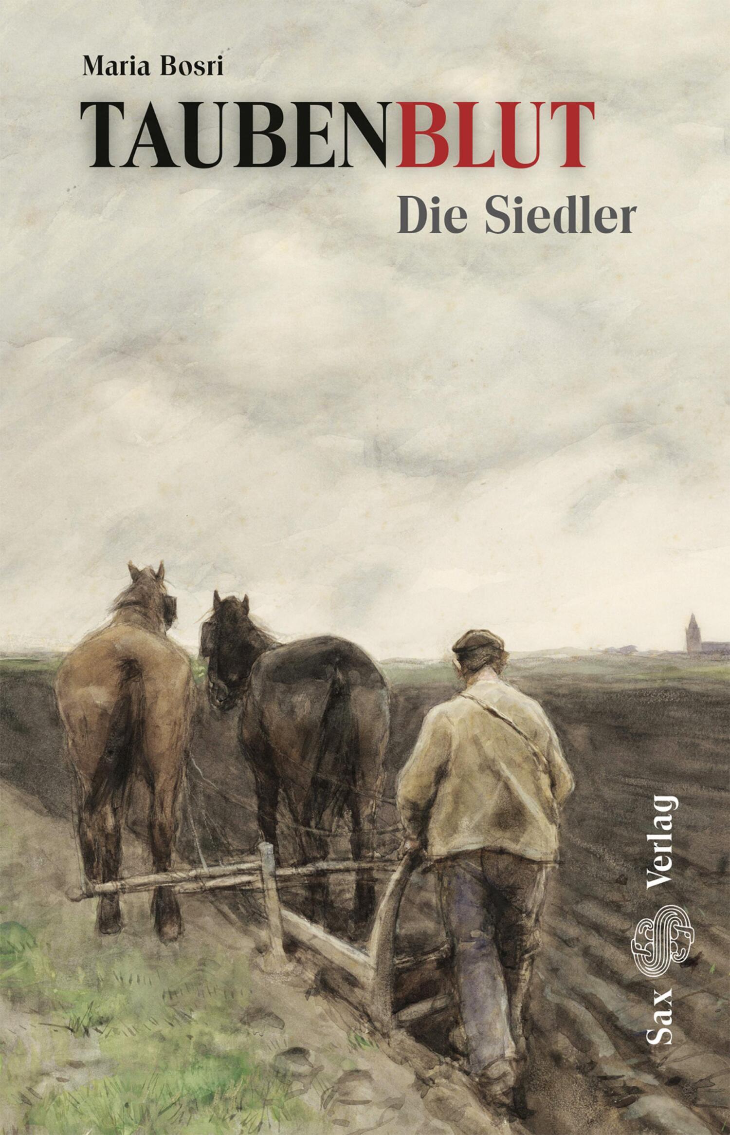 Обложка книги «Taubenblut. Die Siedler»