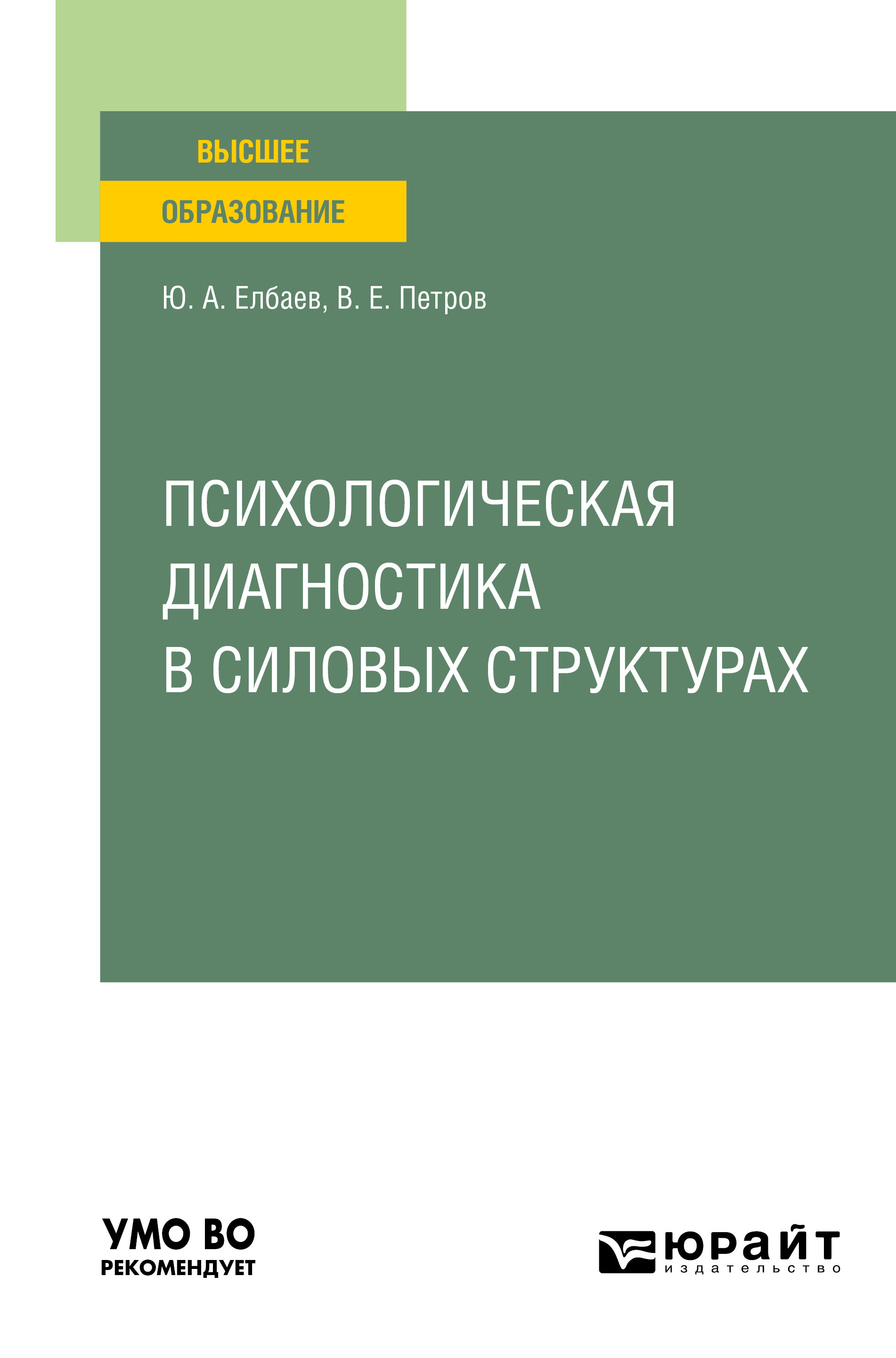 Обложка книги «Психологическая диагностика в силовых структурах. Учебное пособие для вузов»
