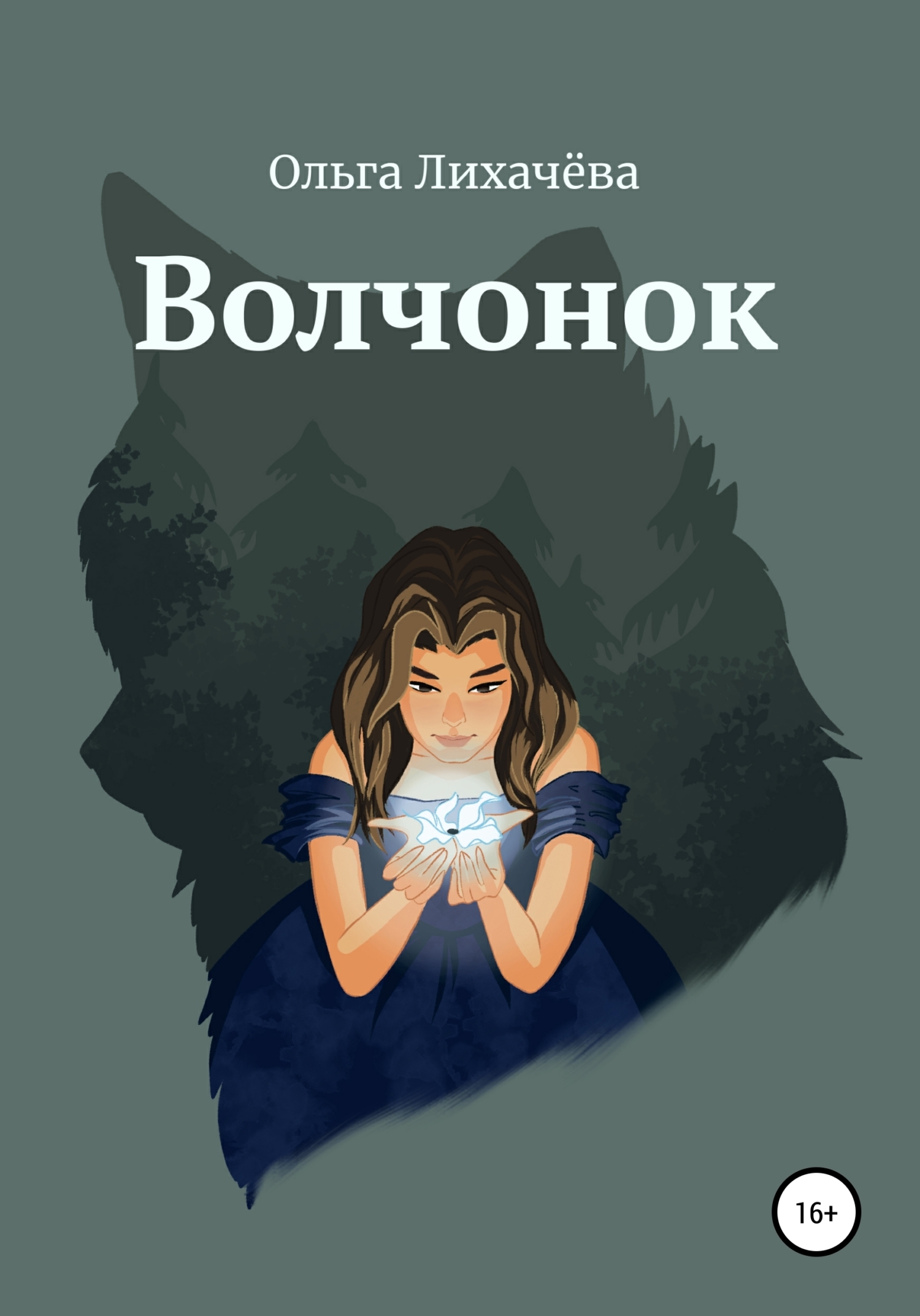 Обложка книги «Волчонок»