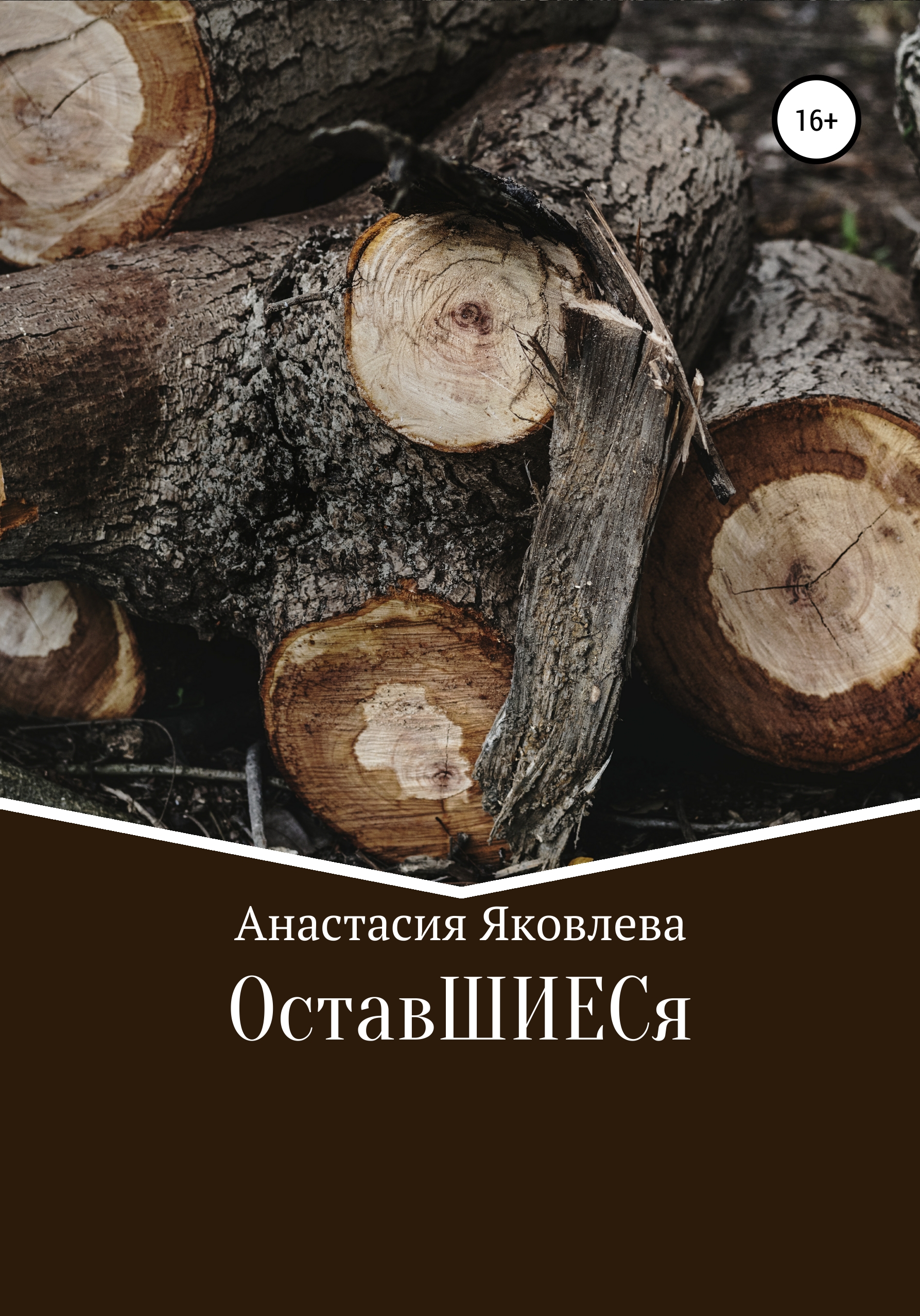 Обложка книги «ОставШИЕСя»