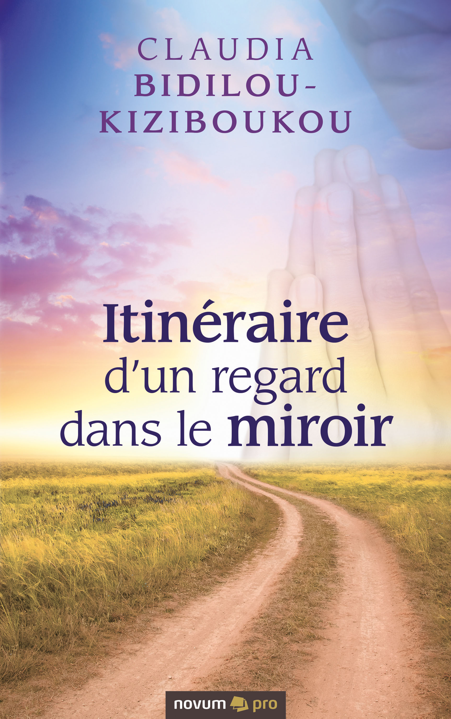 Обложка книги «Itinéraire d'un regard dans le miroir»