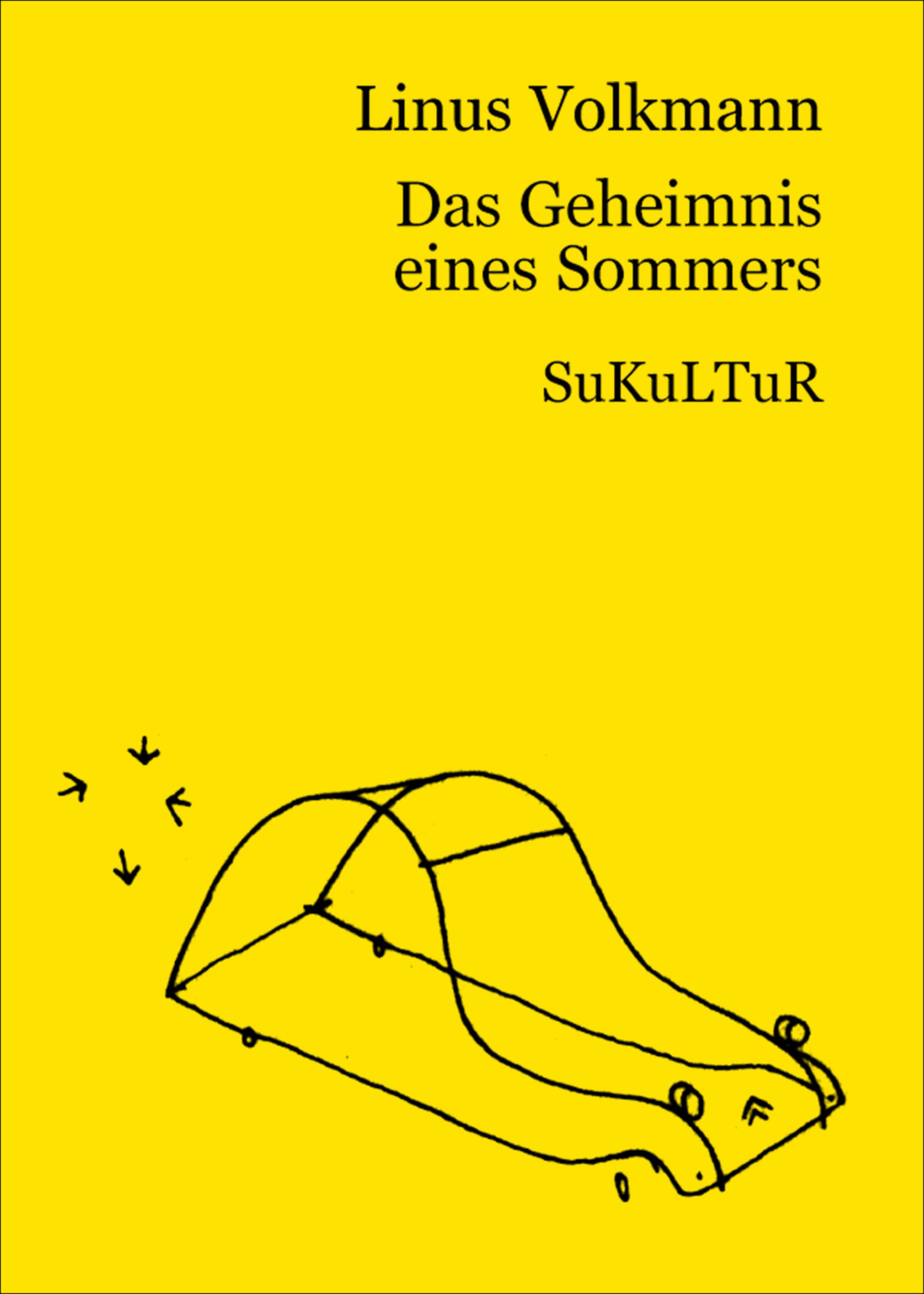 Обложка книги «Das Geheimnis eines Sommers»