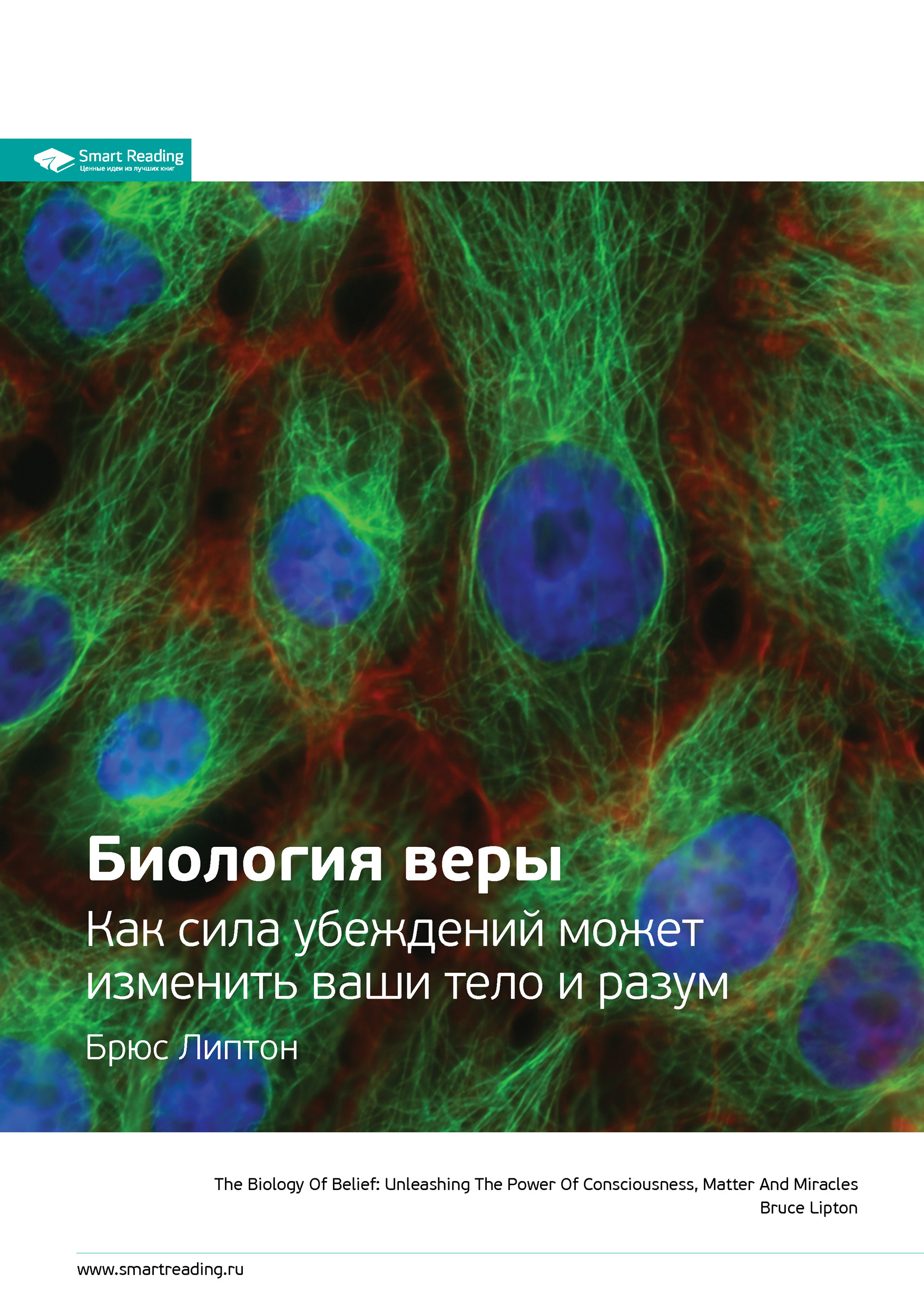 Обложка книги «Ключевые идеи книги: Биология веры. Как сила убеждений может изменить ваши тело и разум. Брюс Липтон»