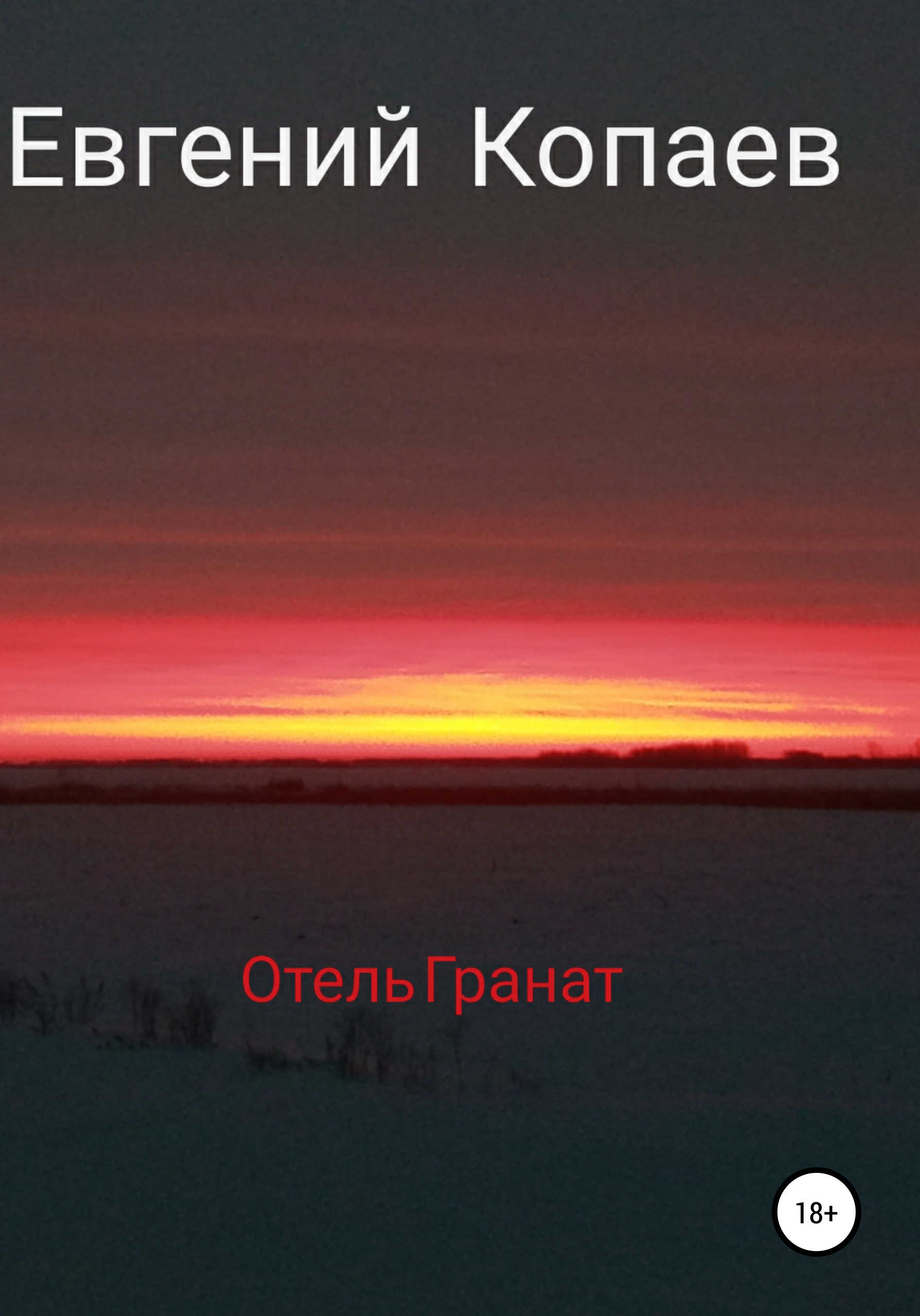Обложка книги «Отель Гранат»