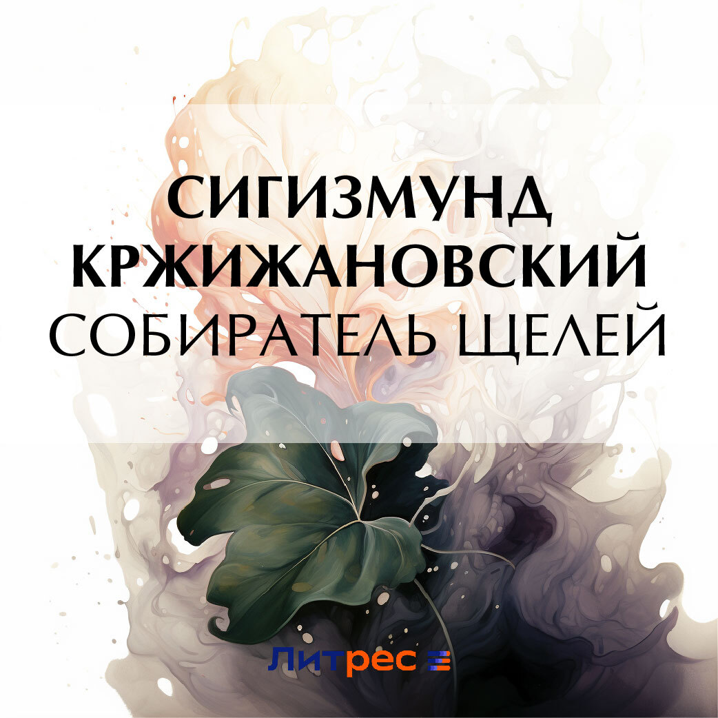 Обложка книги «Собиратель щелей»
