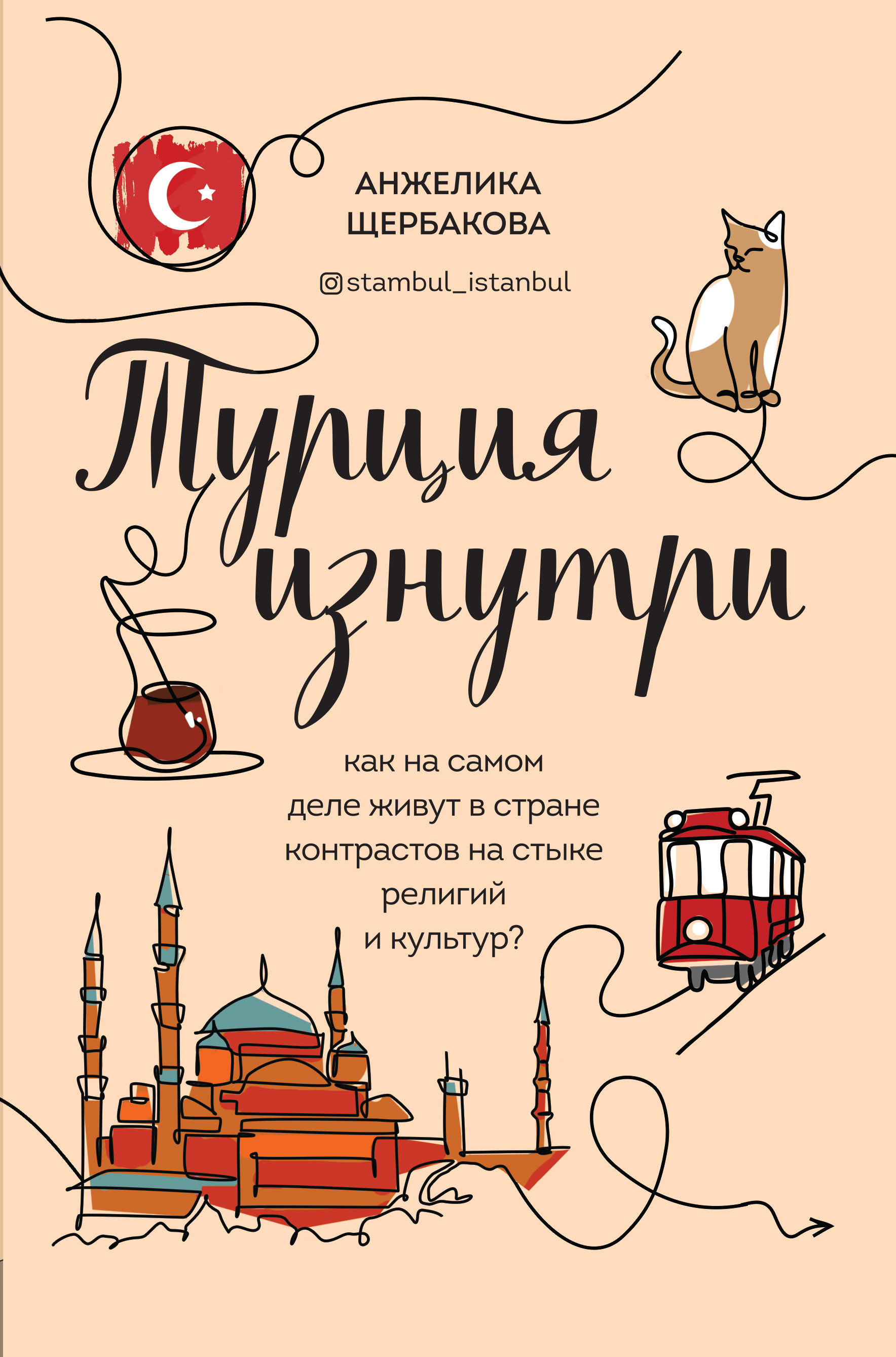 Обложка книги «Турция изнутри. Как на самом деле живут в стране контрастов на стыке религий и культур?»
