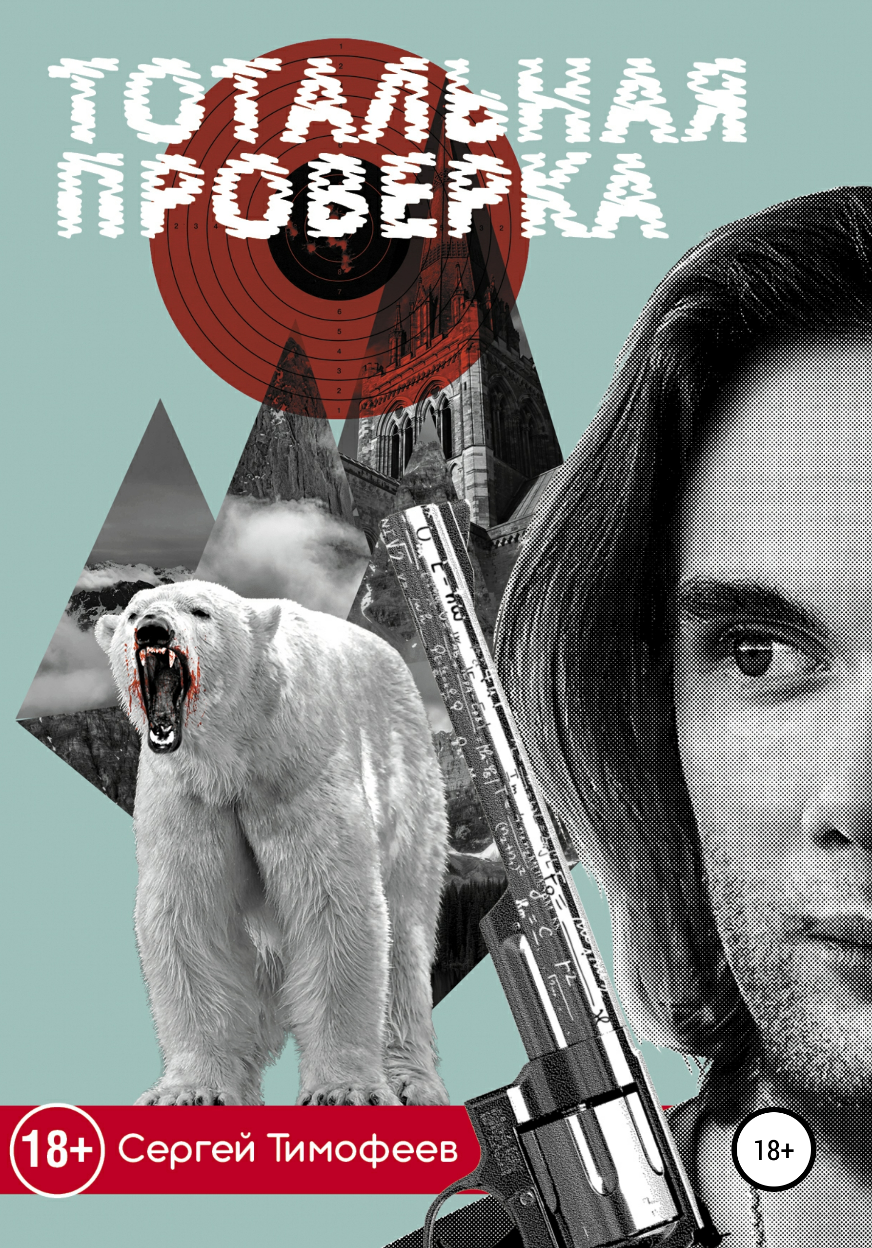 Обложка книги «Тотальная проверка»