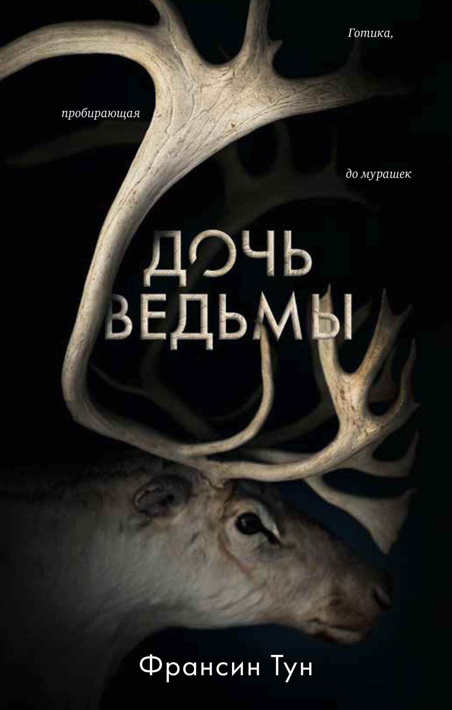 Обложка книги «Дочь ведьмы»