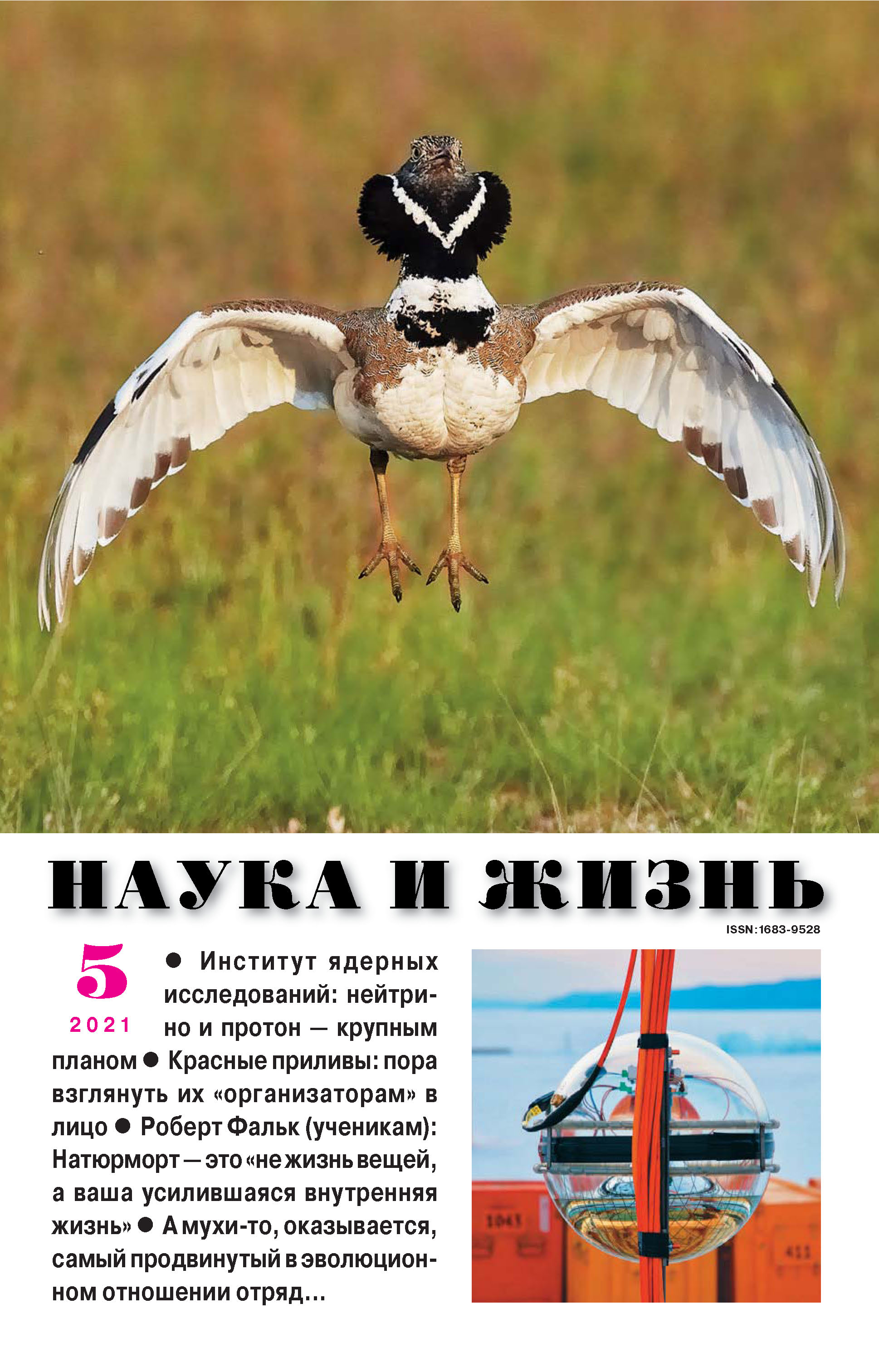 Обложка книги «Наука и жизнь №05/2021»