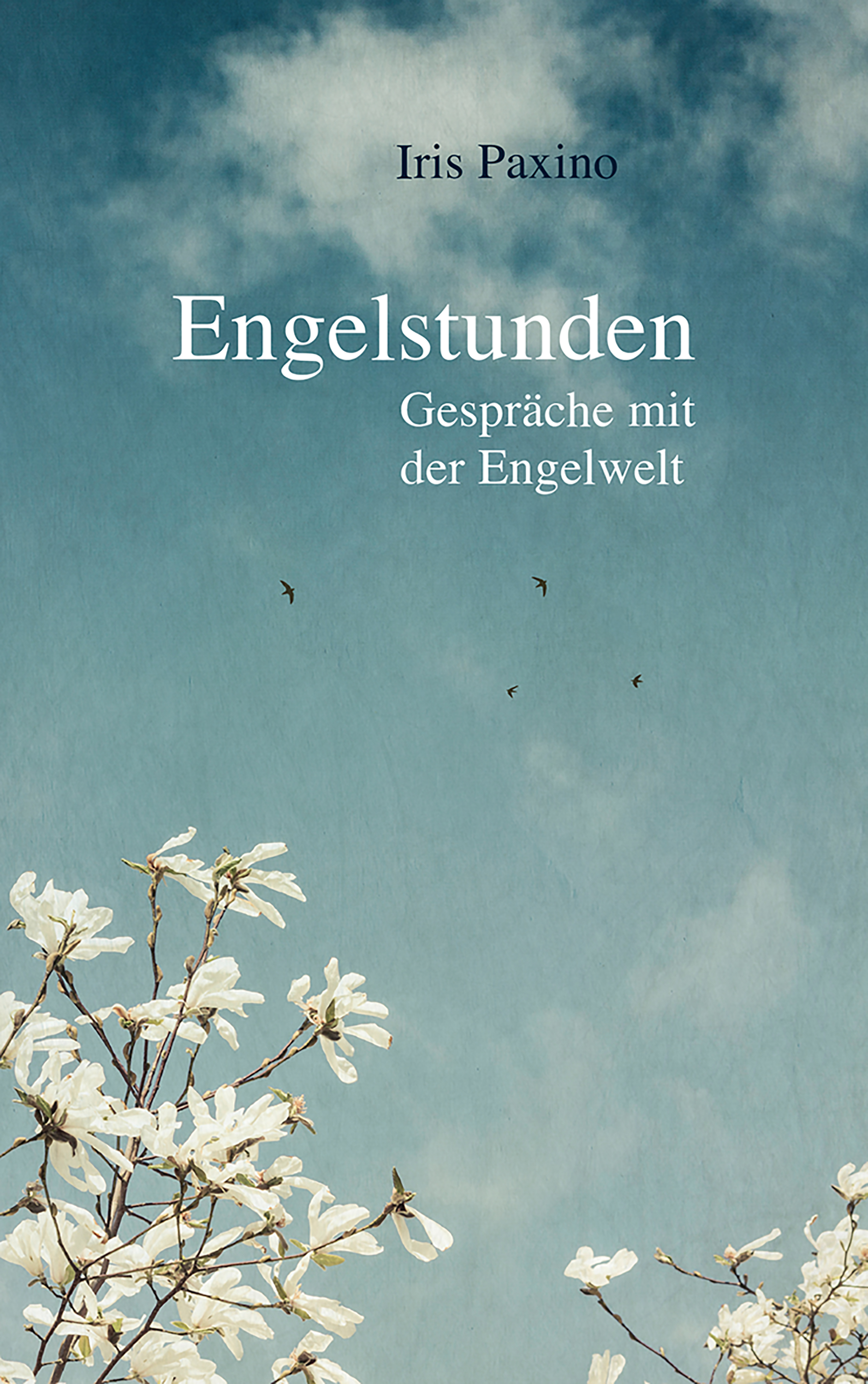 Обложка книги «Engelstunden»