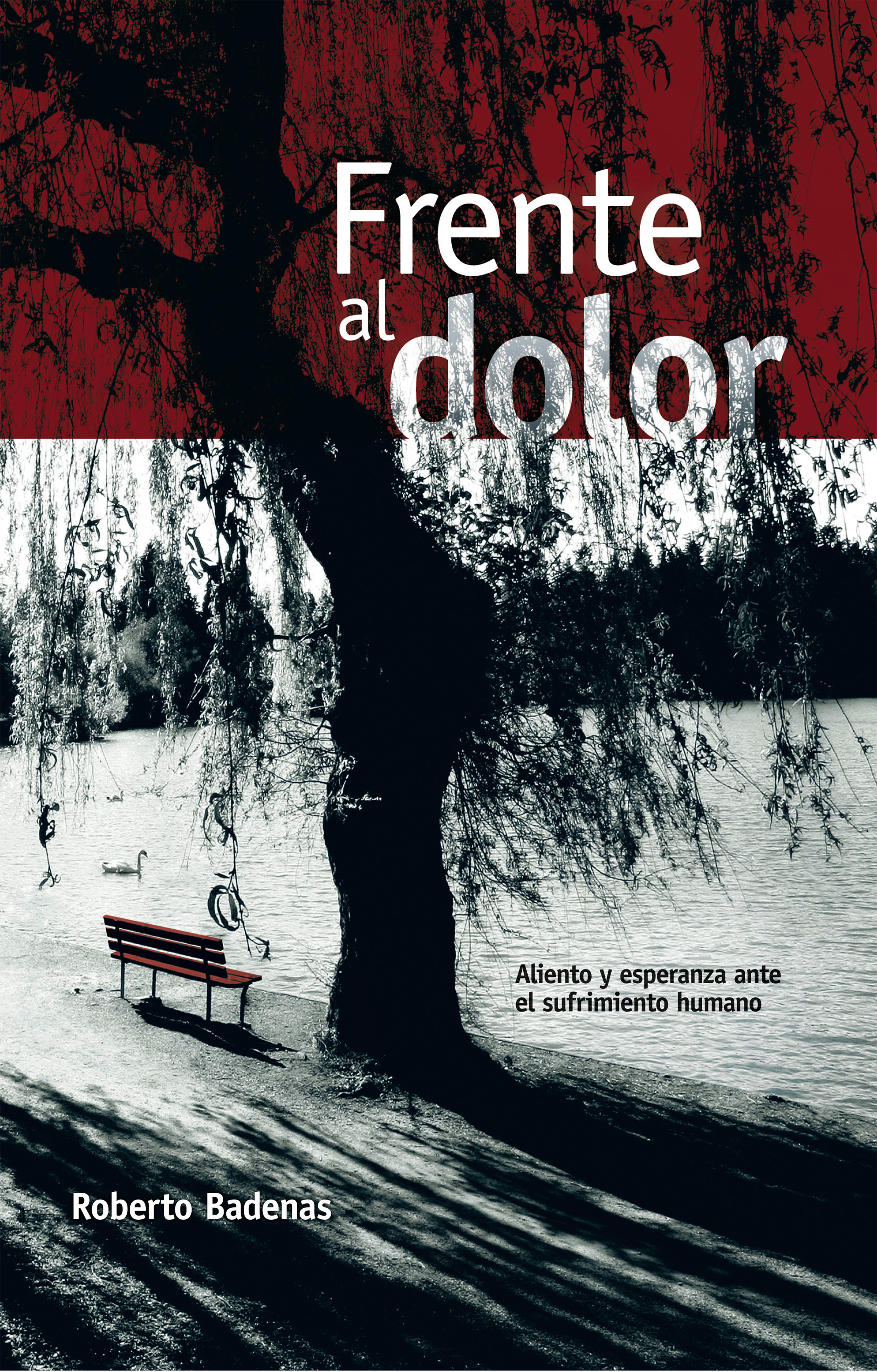 Обложка книги «Frente al dolor»