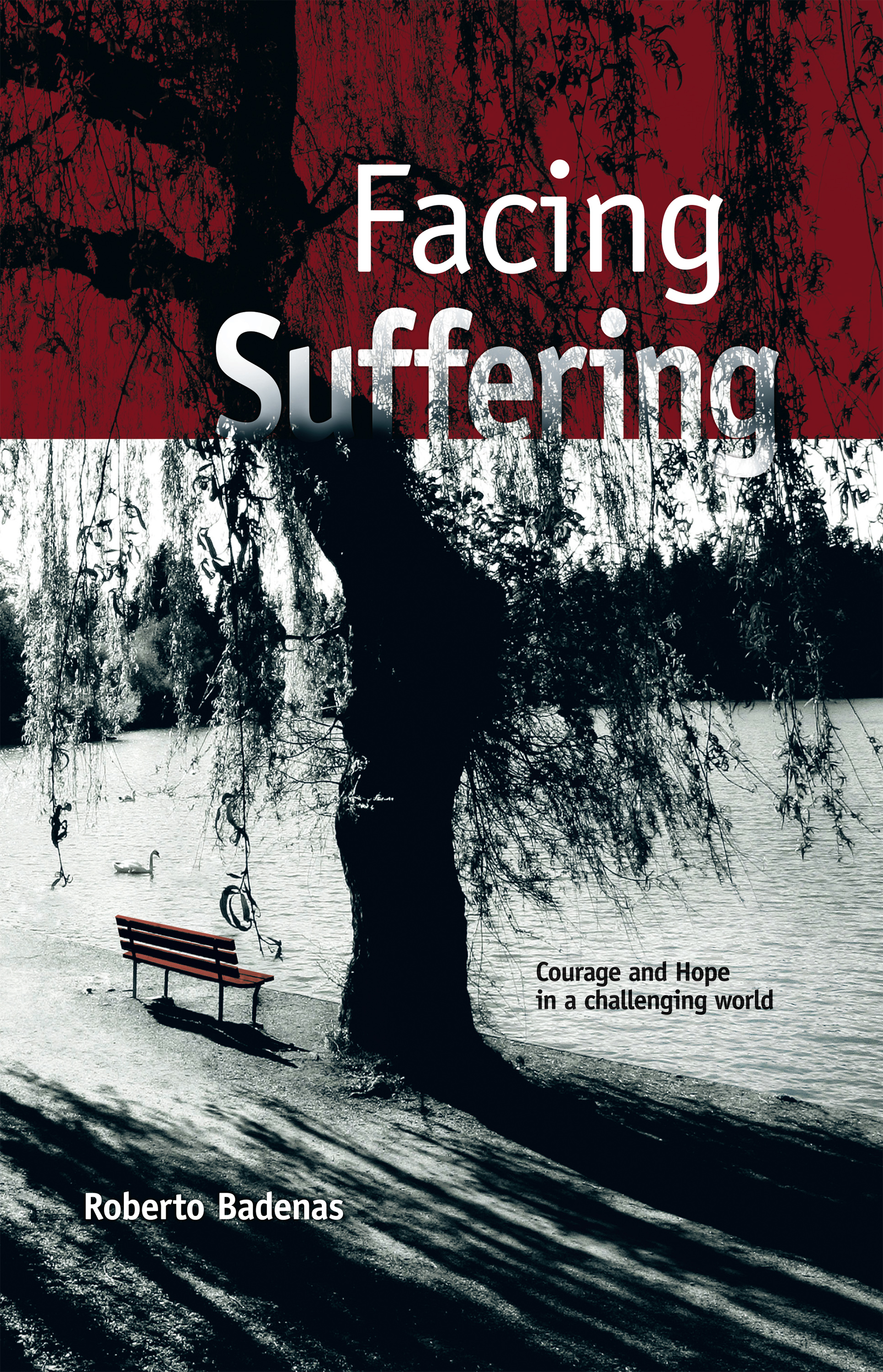 Обложка книги «Facing Sufering»