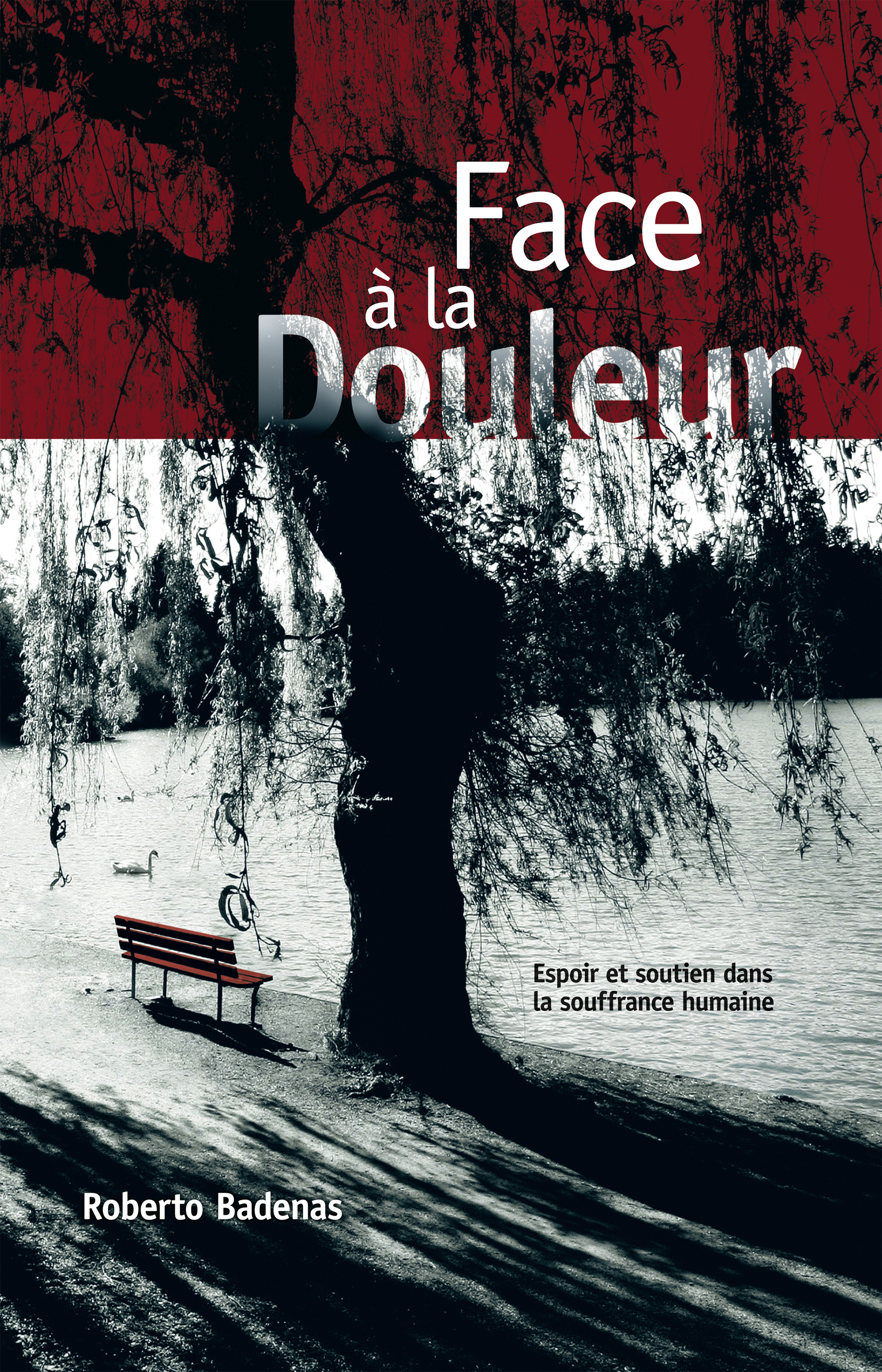 Обложка книги «Face à la douleur»