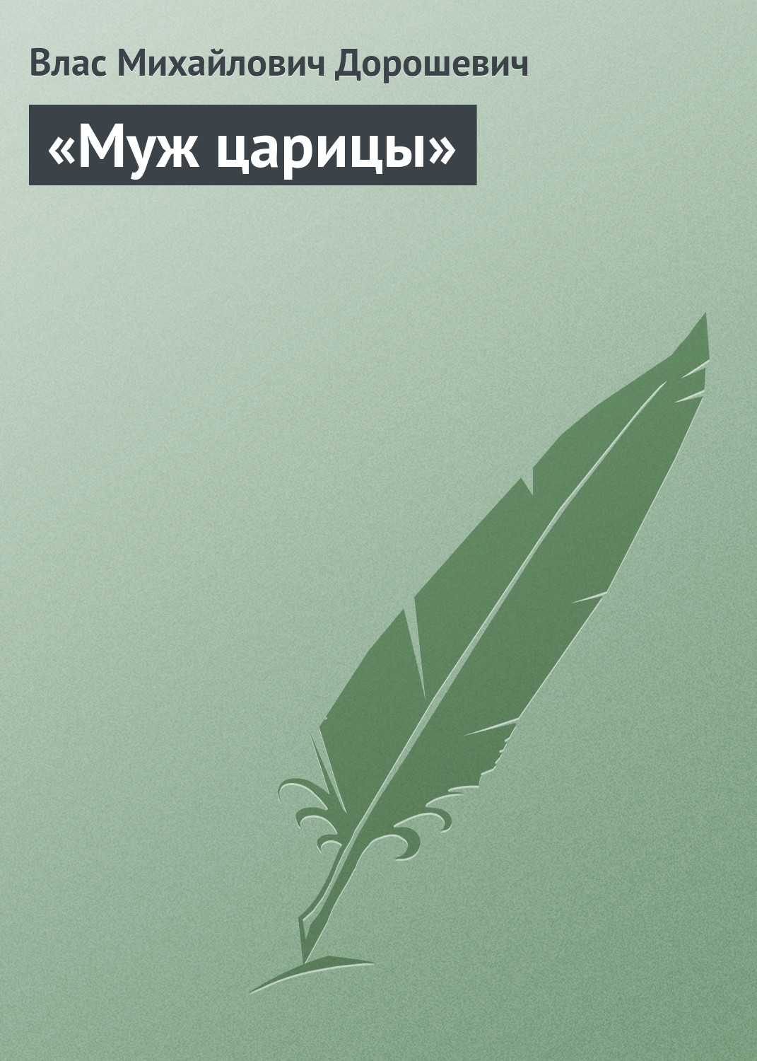 Обложка книги ««Муж царицы»»