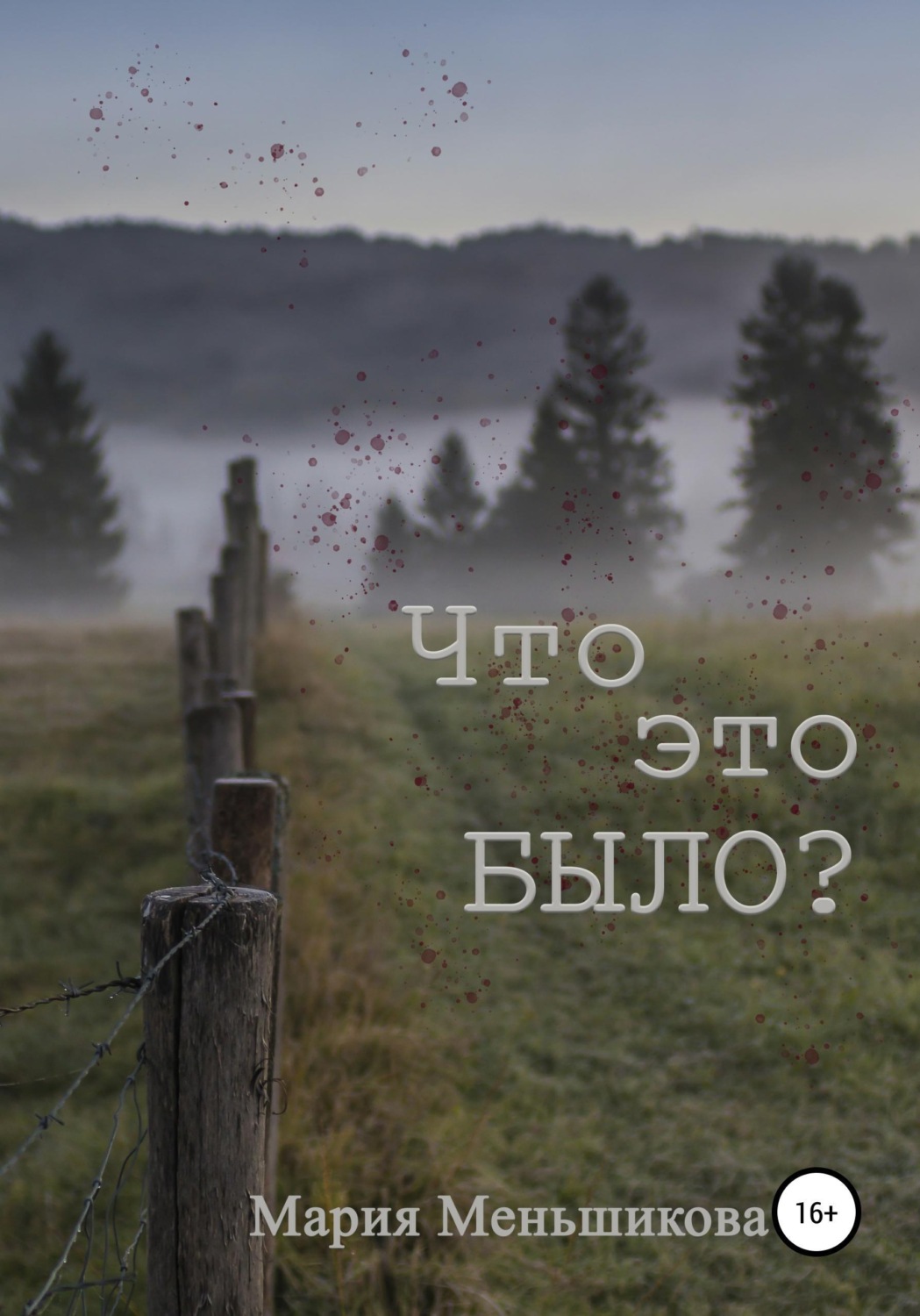 Обложка книги «Что это было?»
