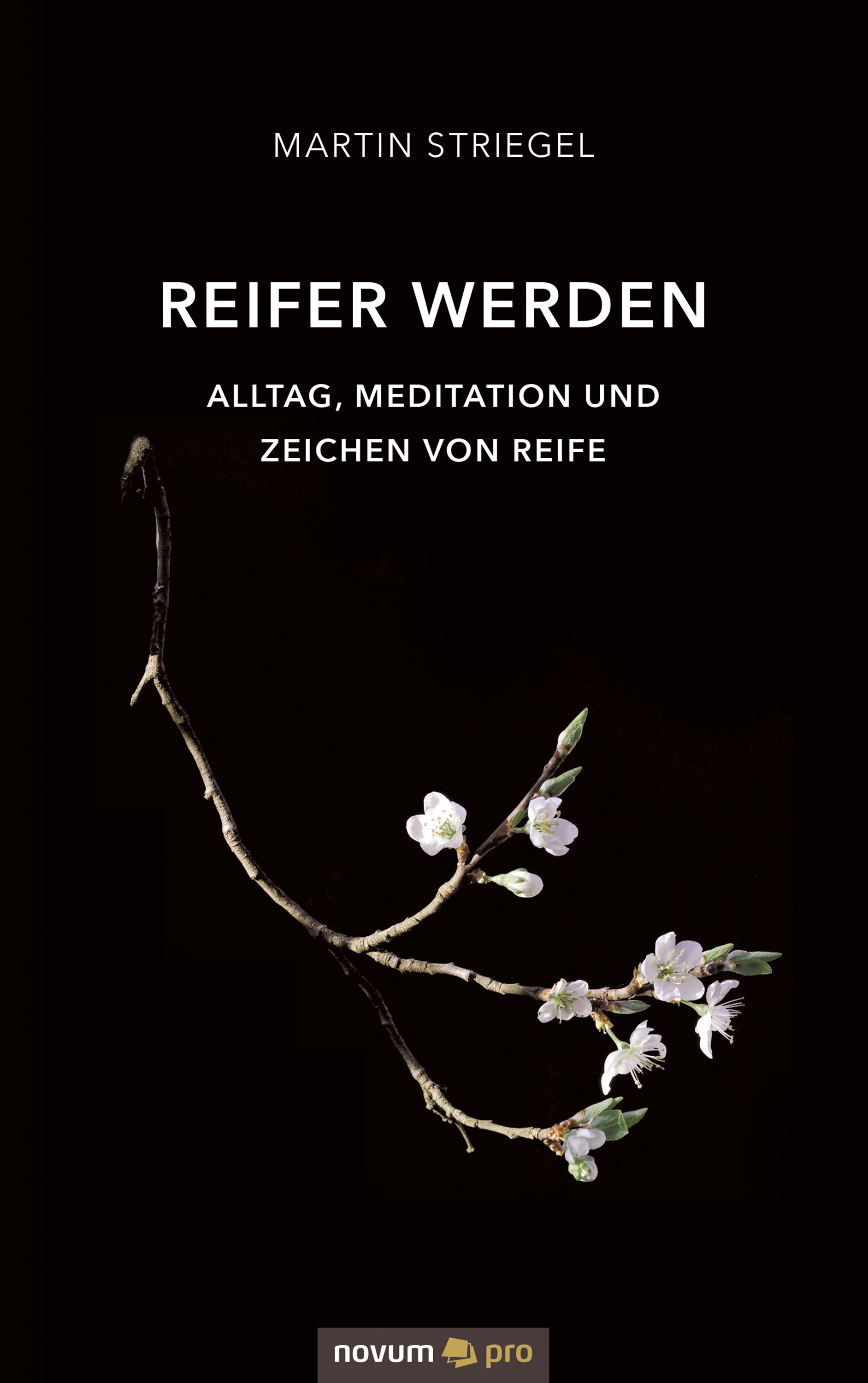 Обложка книги «Reifer werden»