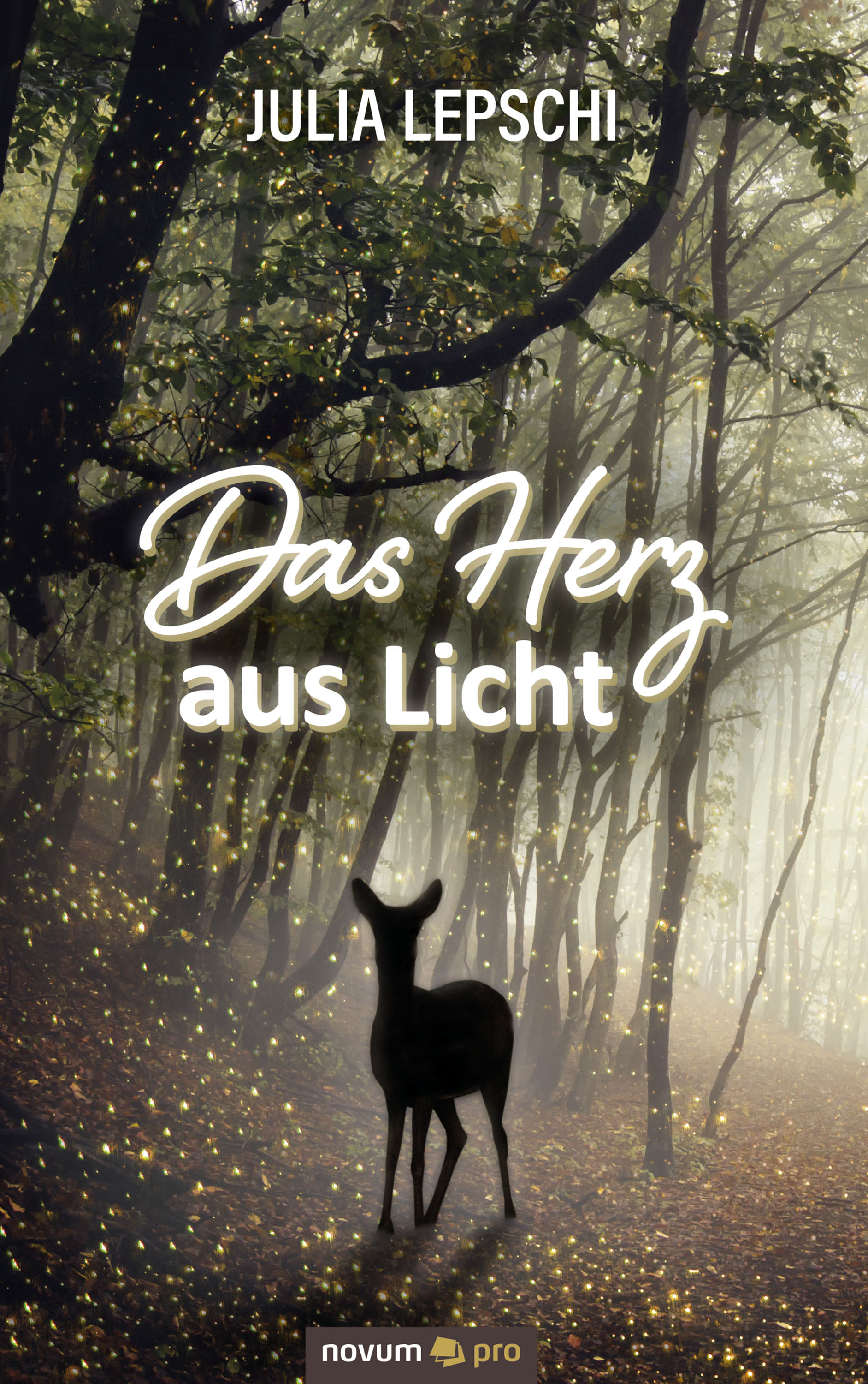 Обложка книги «Das Herz aus Licht»