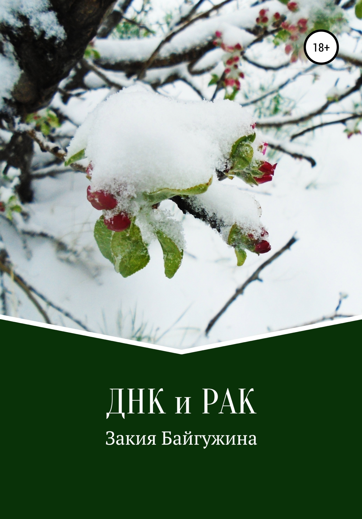 Обложка книги «ДНК и РАК»