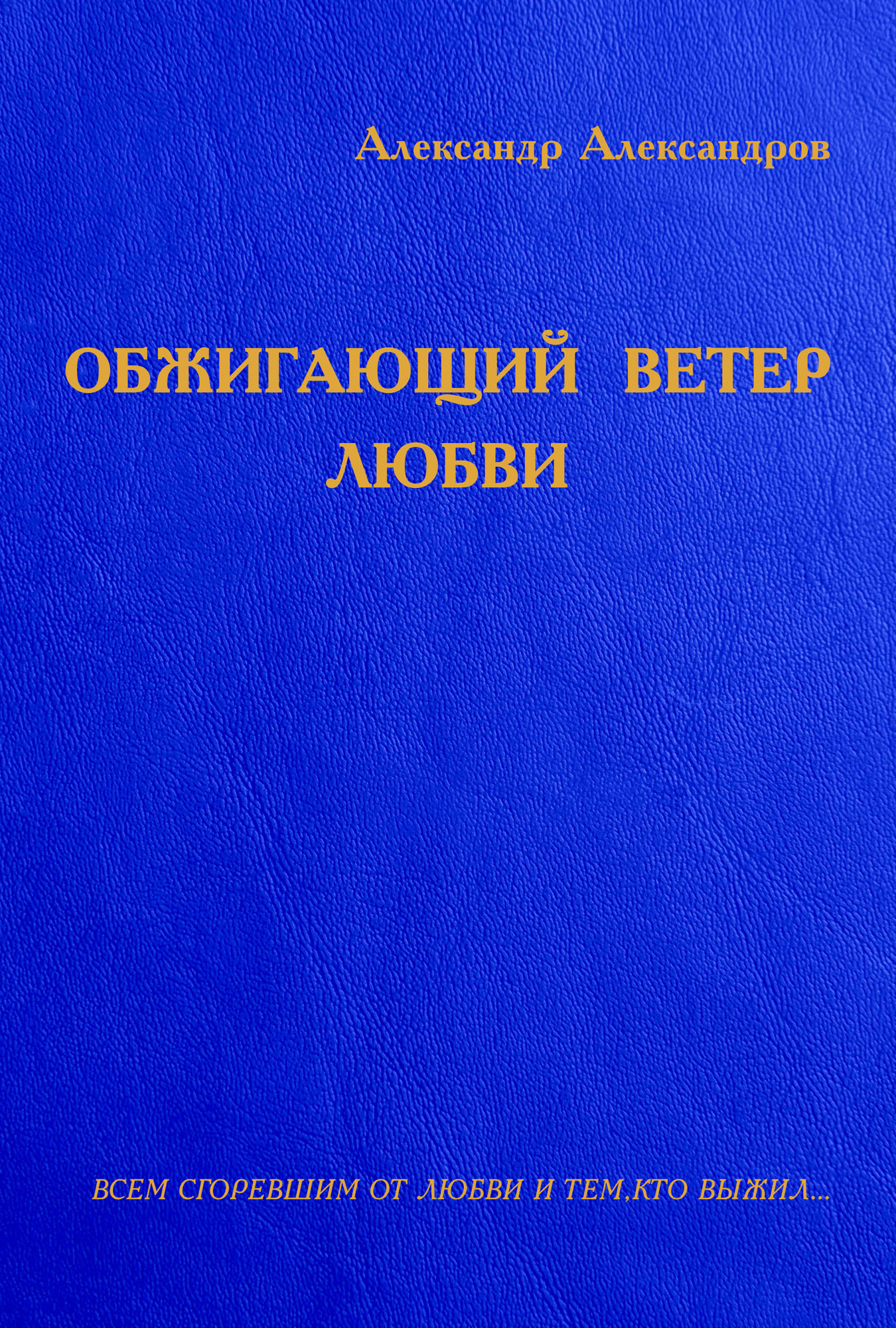 Обложка книги «Обжигающий ветер любви (сборник)»