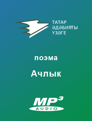 Обложка книги «Ачлык»