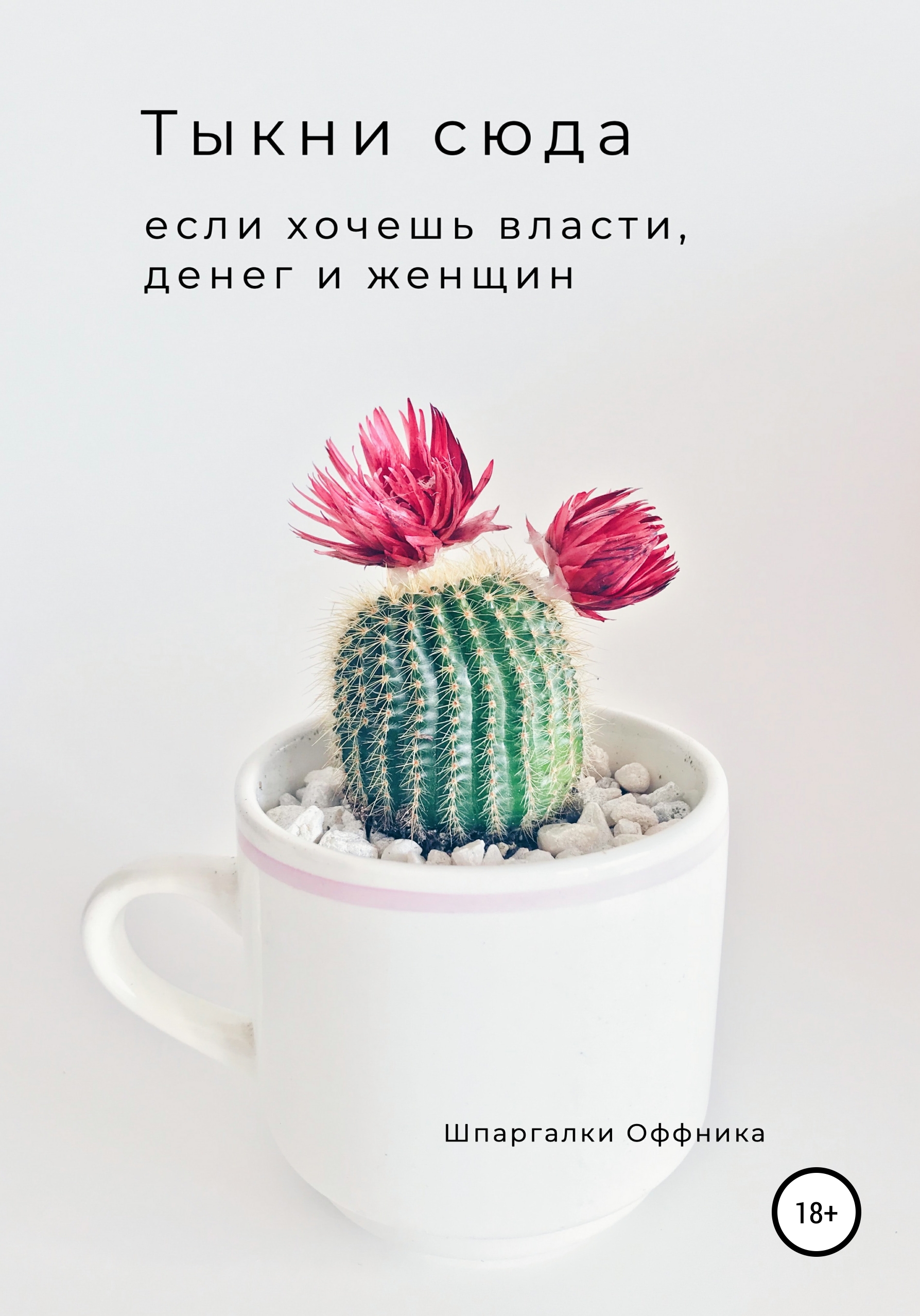 Обложка книги «Тыкни сюда, если хочешь власти, денег и женщин»