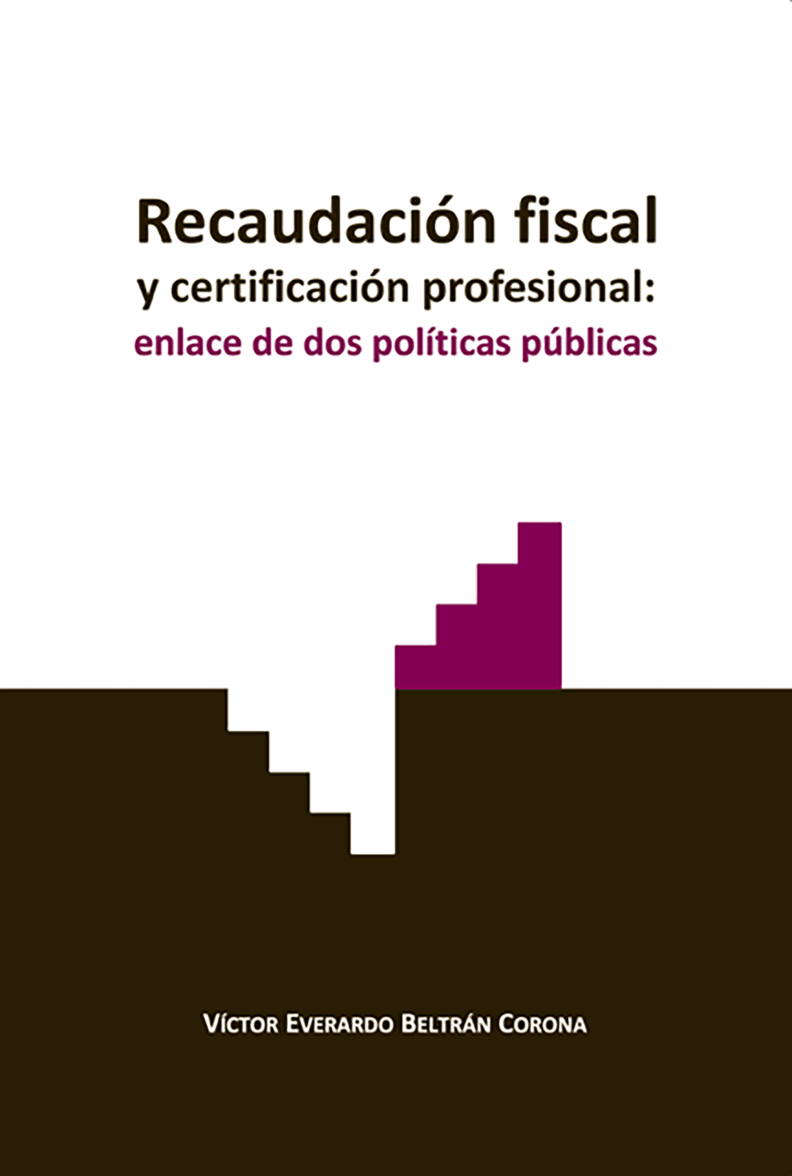 Обложка книги «Recaudación fiscal y certificación profesional: enlace de dos políticas públicas»