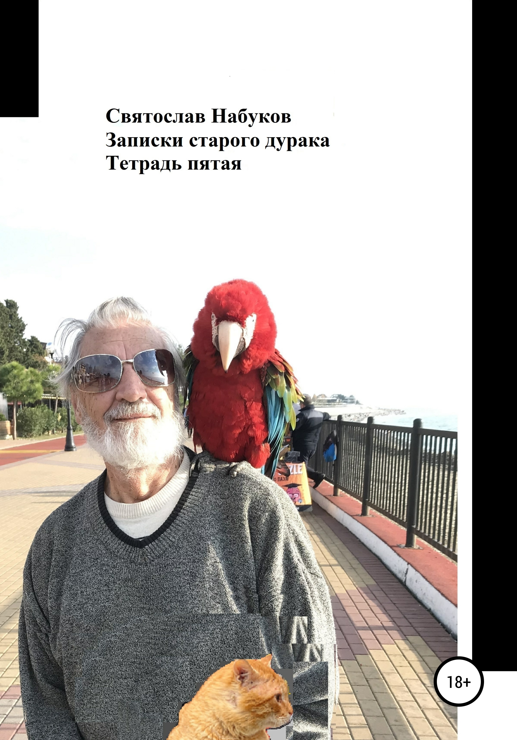 Обложка книги «Записки старого дурака. Тетрадь пятая»
