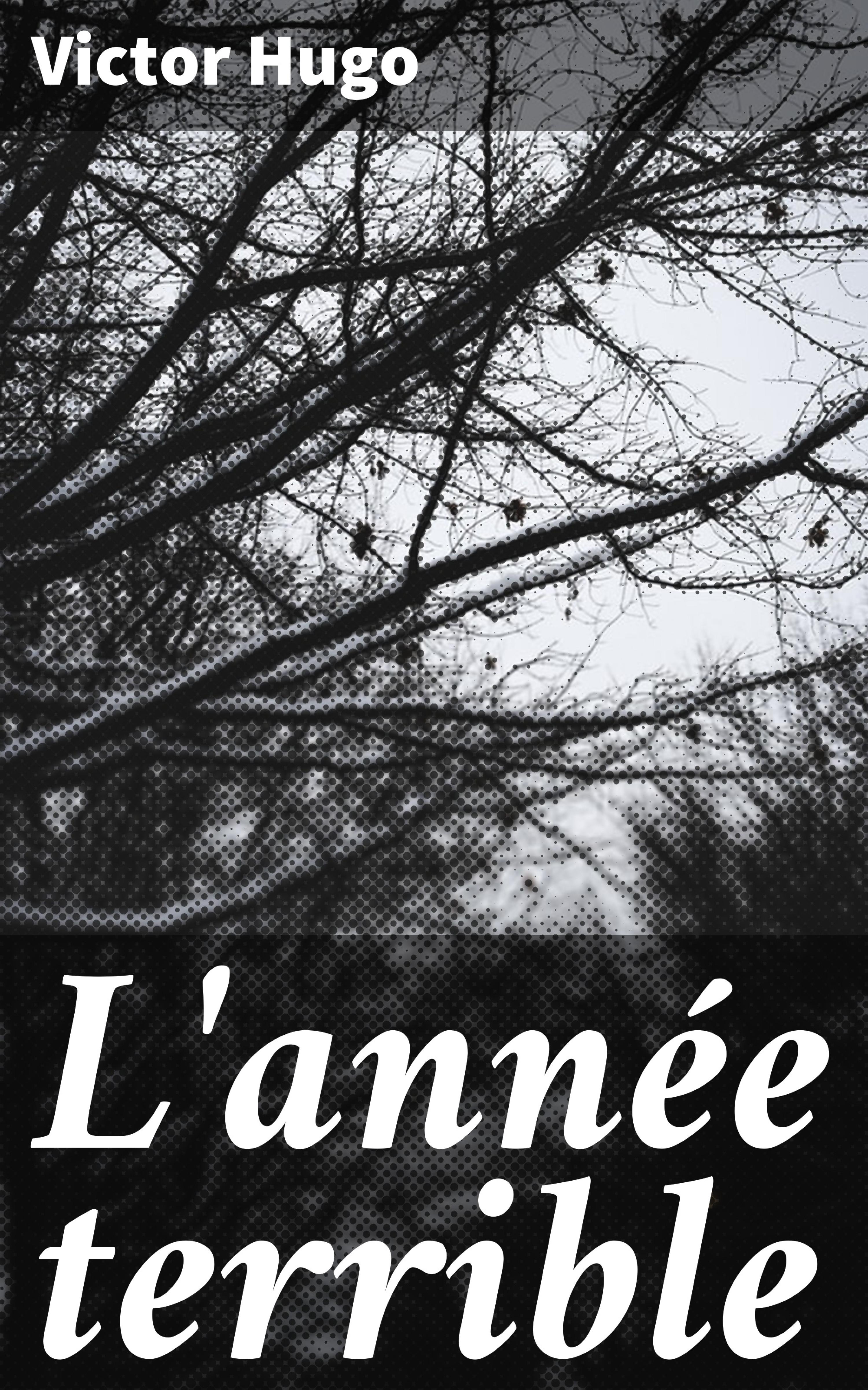 Обложка книги «L'année terrible»