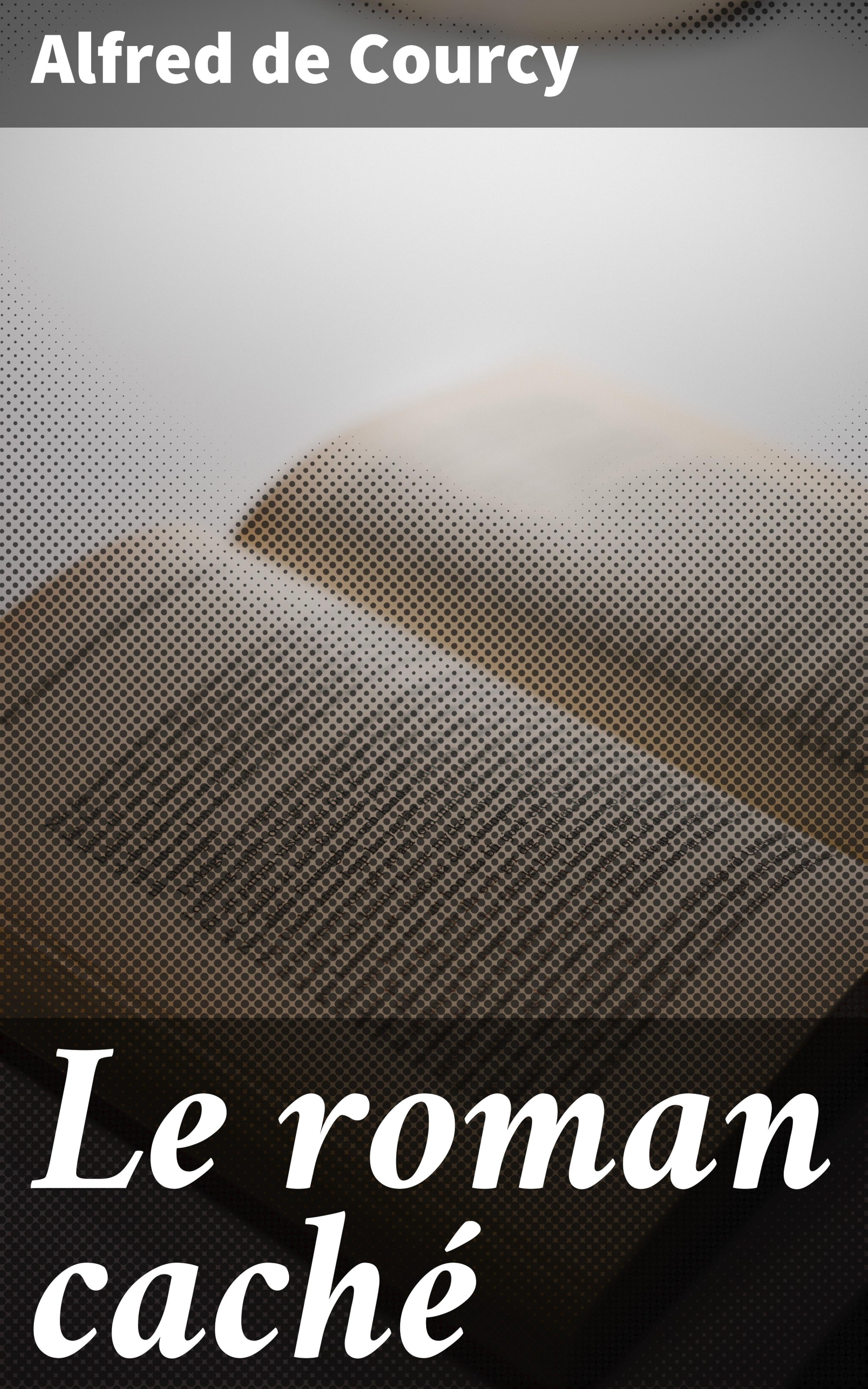 Обложка книги «Le roman caché»
