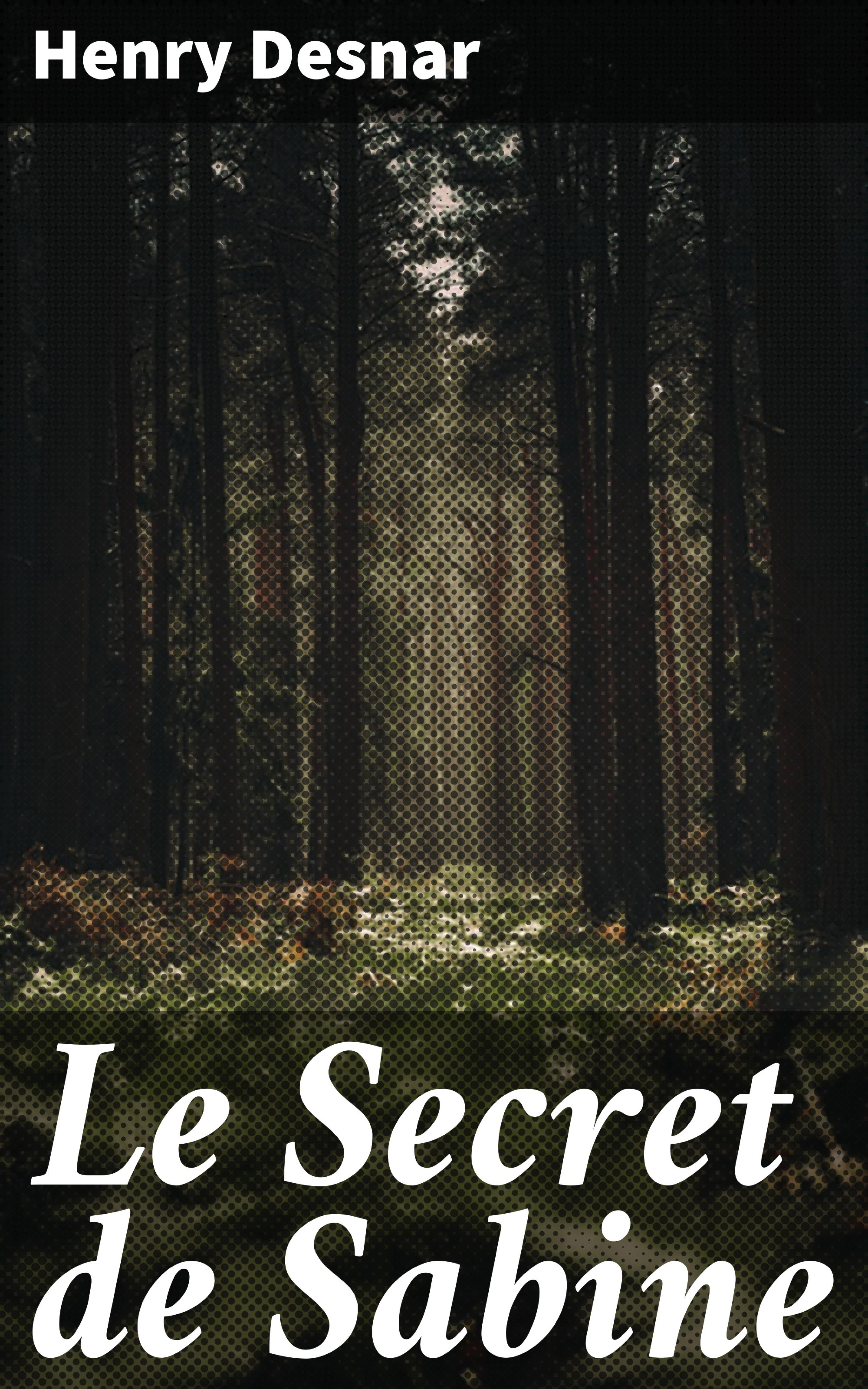 Обложка книги «Le Secret de Sabine»