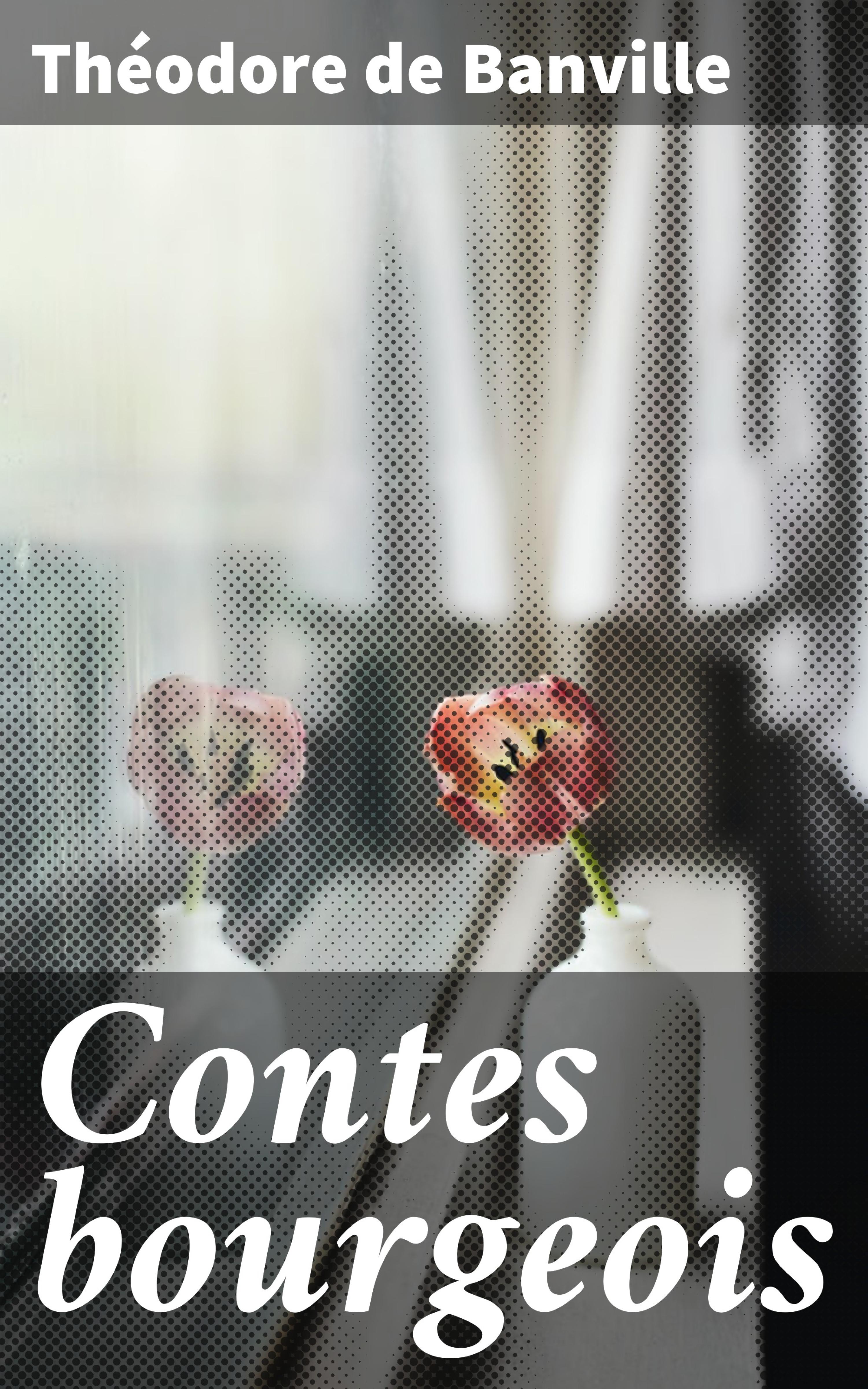 Обложка книги «Contes bourgeois»