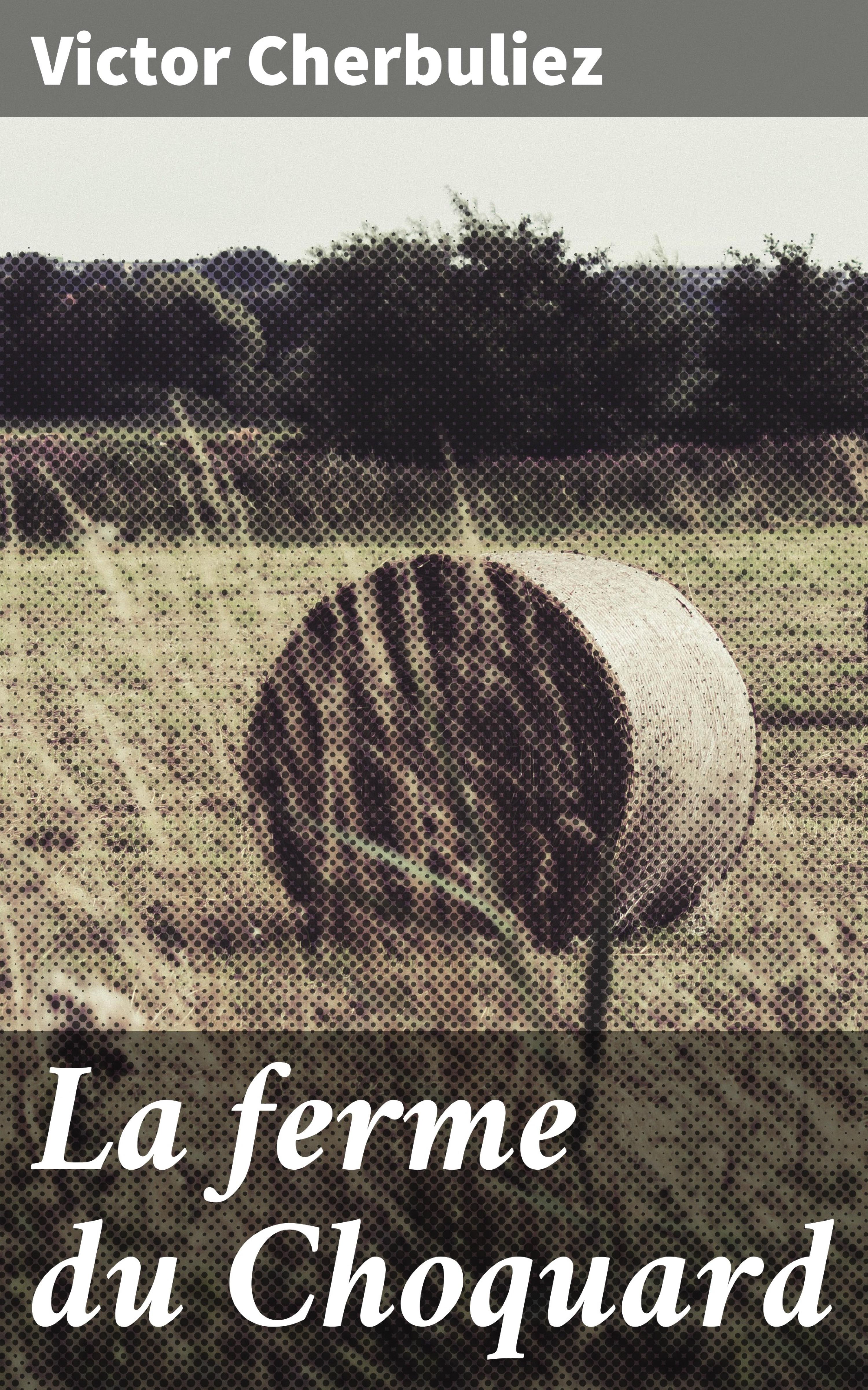 Обложка книги «La ferme du Choquard»