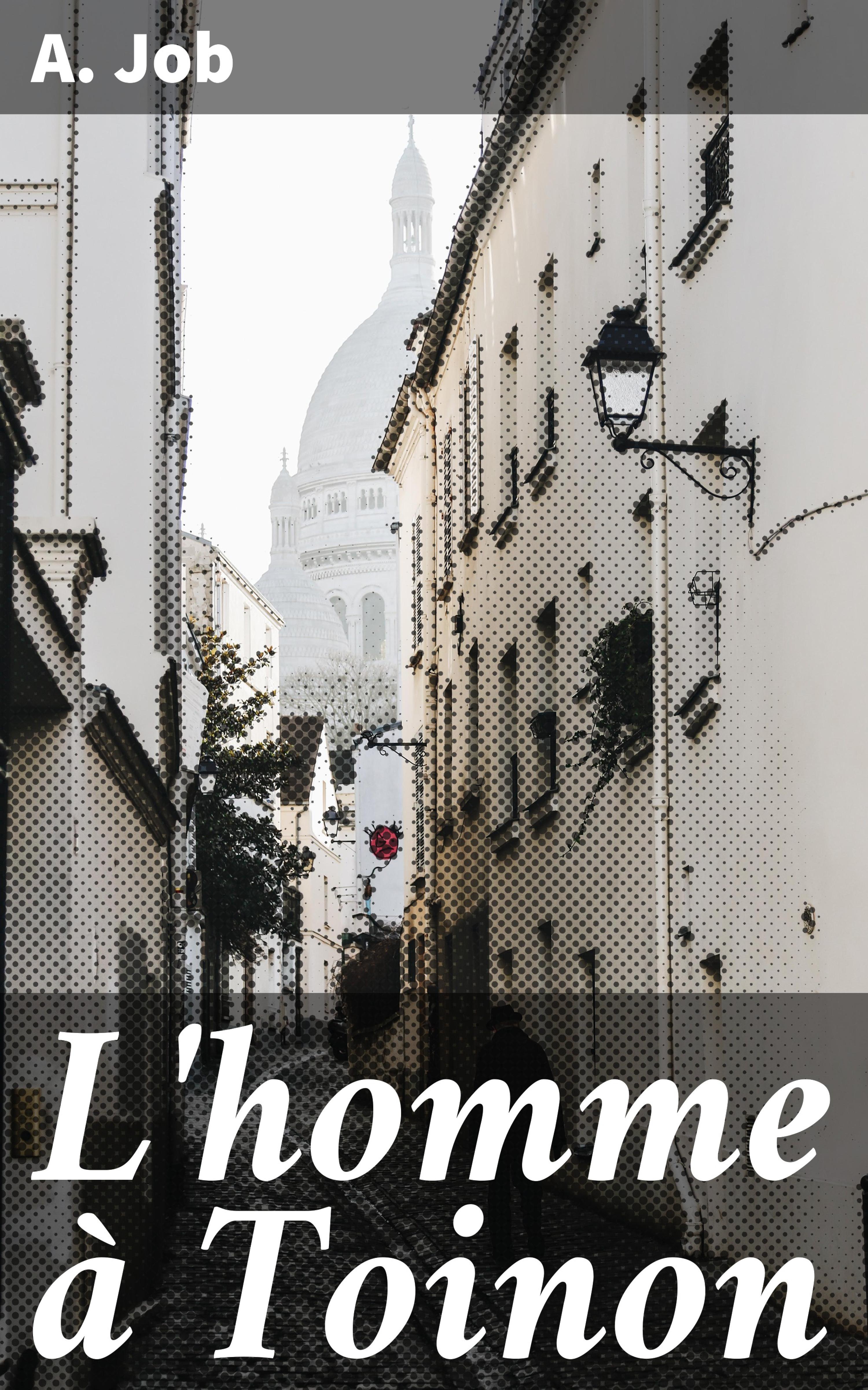 Обложка книги «L'homme à Toinon»